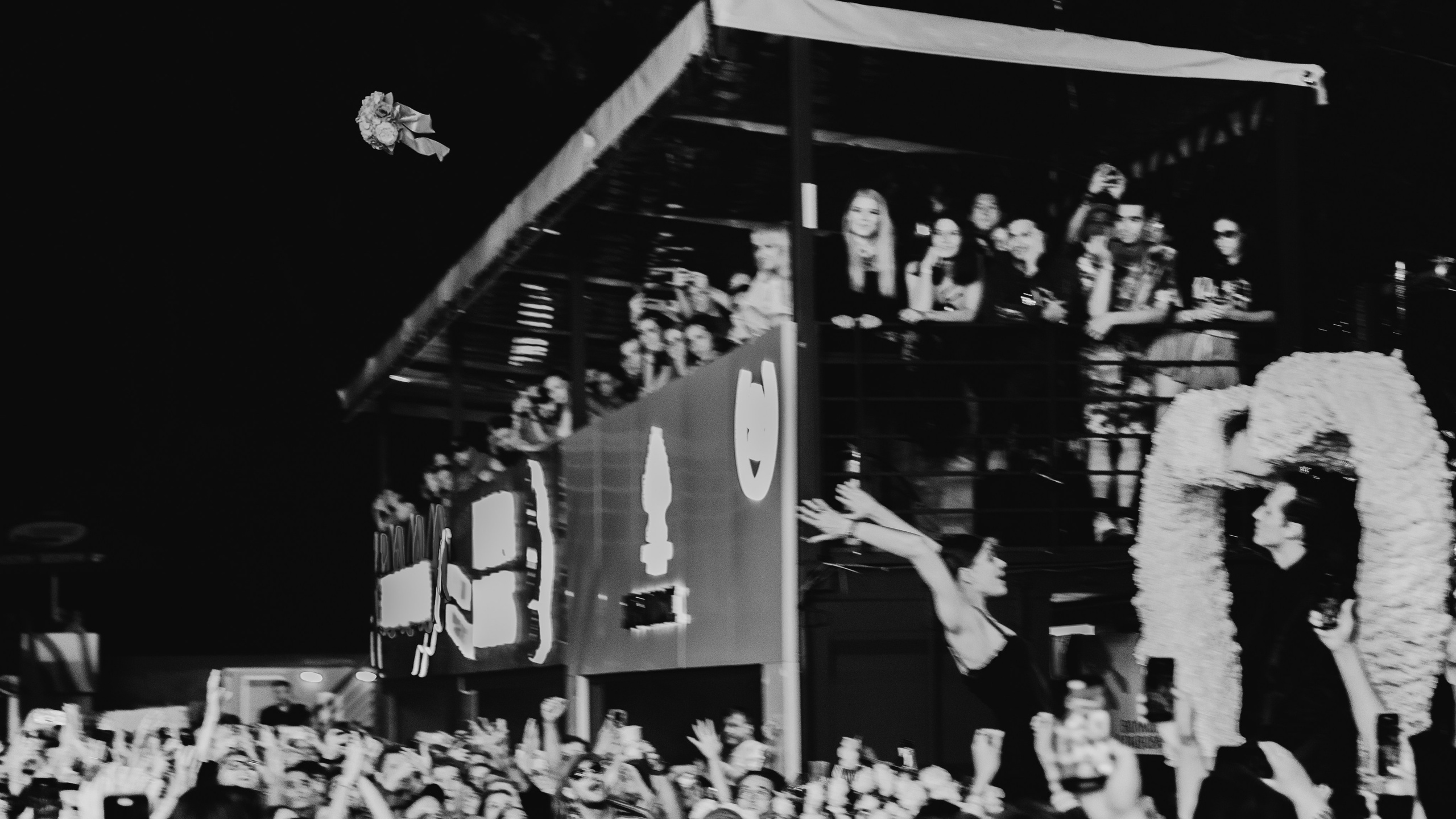 Хаски ’25 Свадьба. RUSLAN ROZANOV