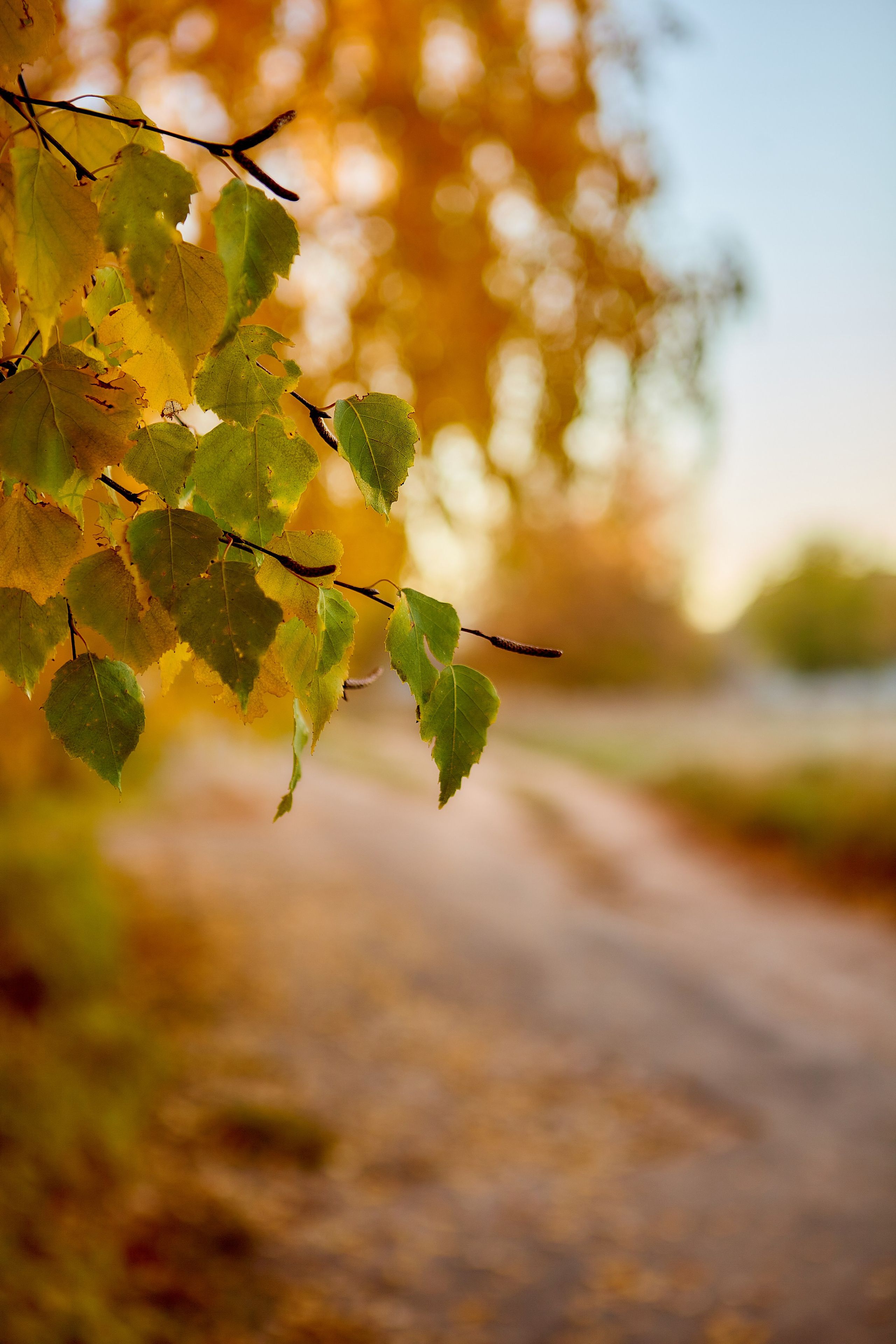 Фотографии природы