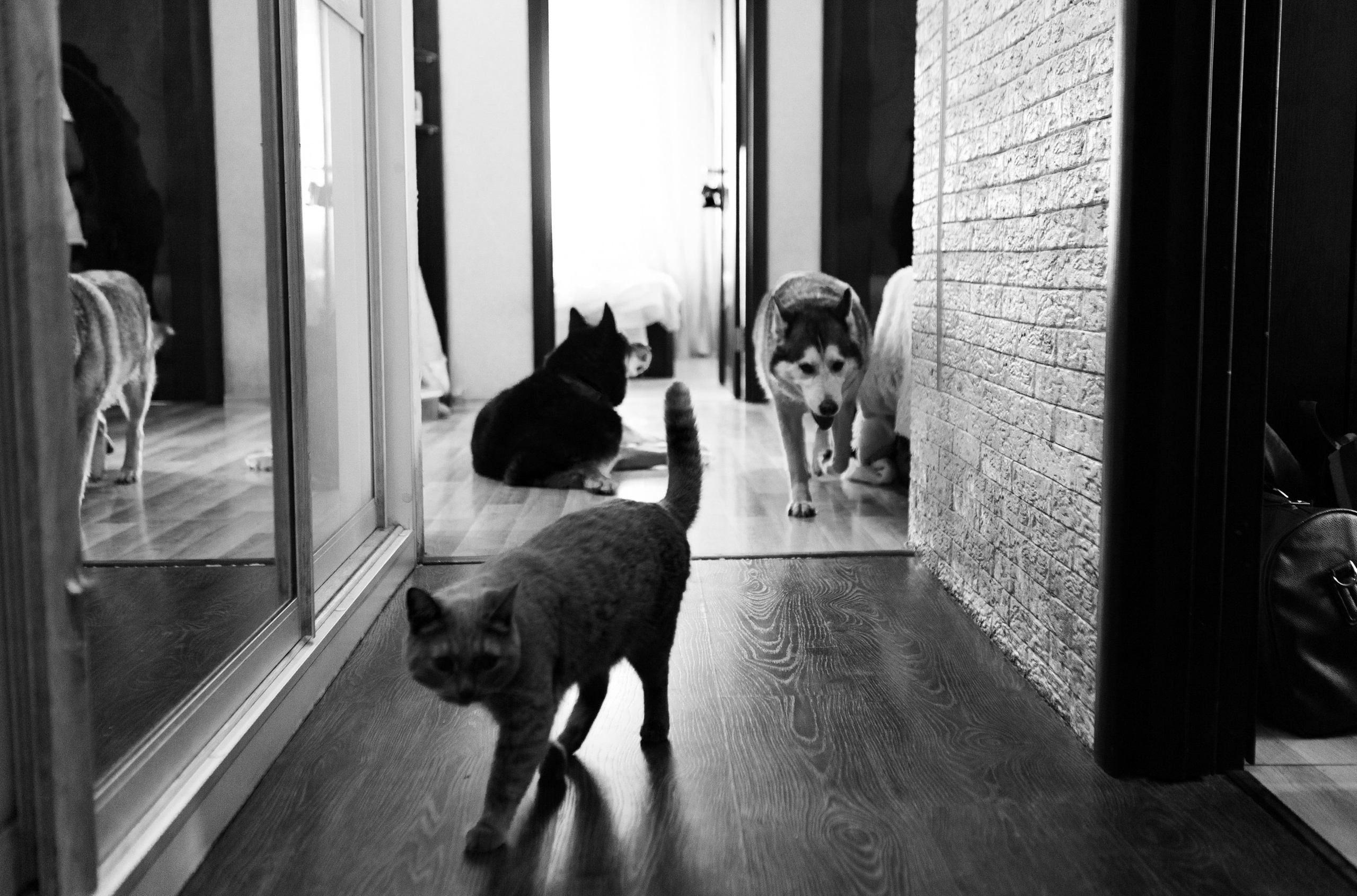 Дмитрий и Светлана. LEVORIGINAL