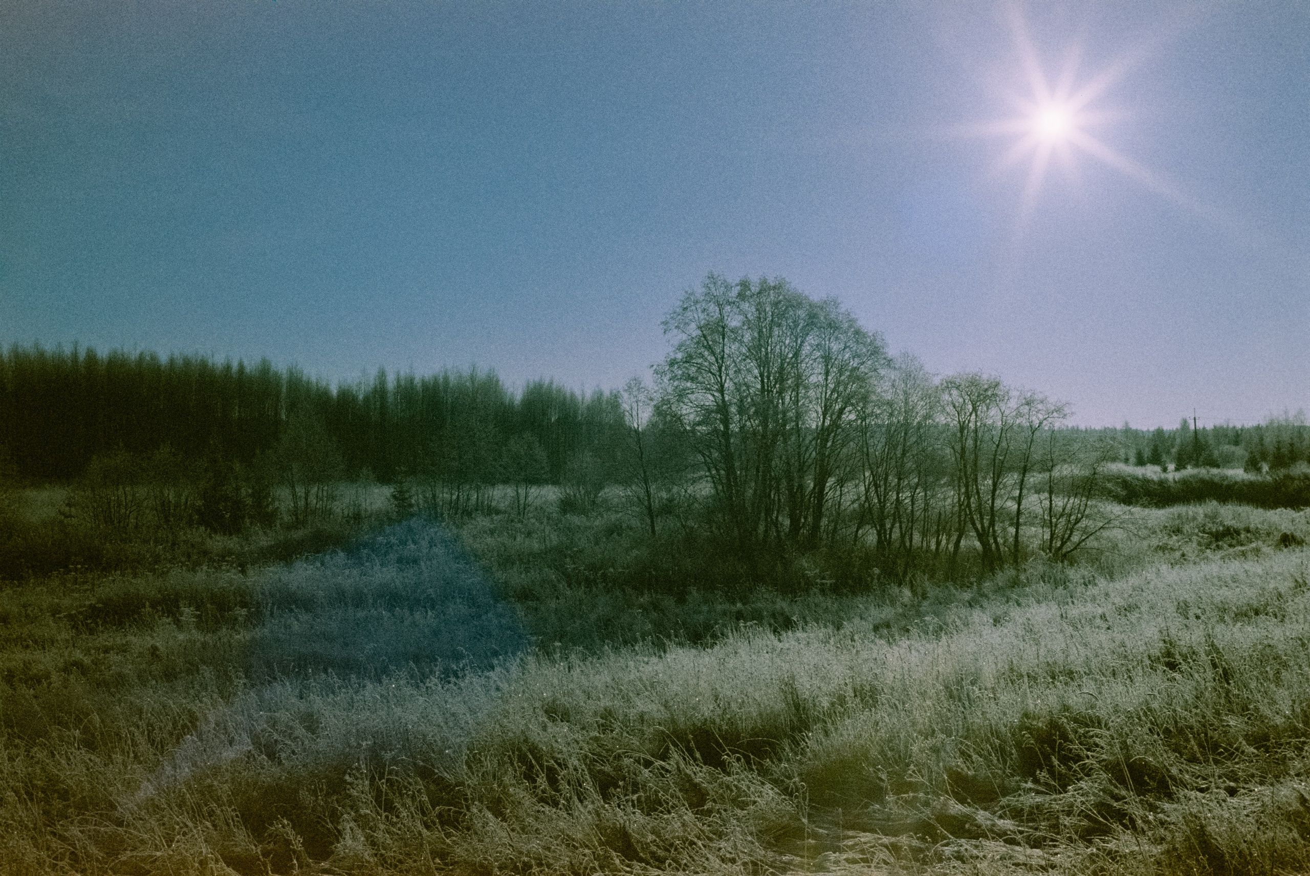 Minolta Hi-Matic 7sII / Kodak Color 200 (просрочка) / Лукино