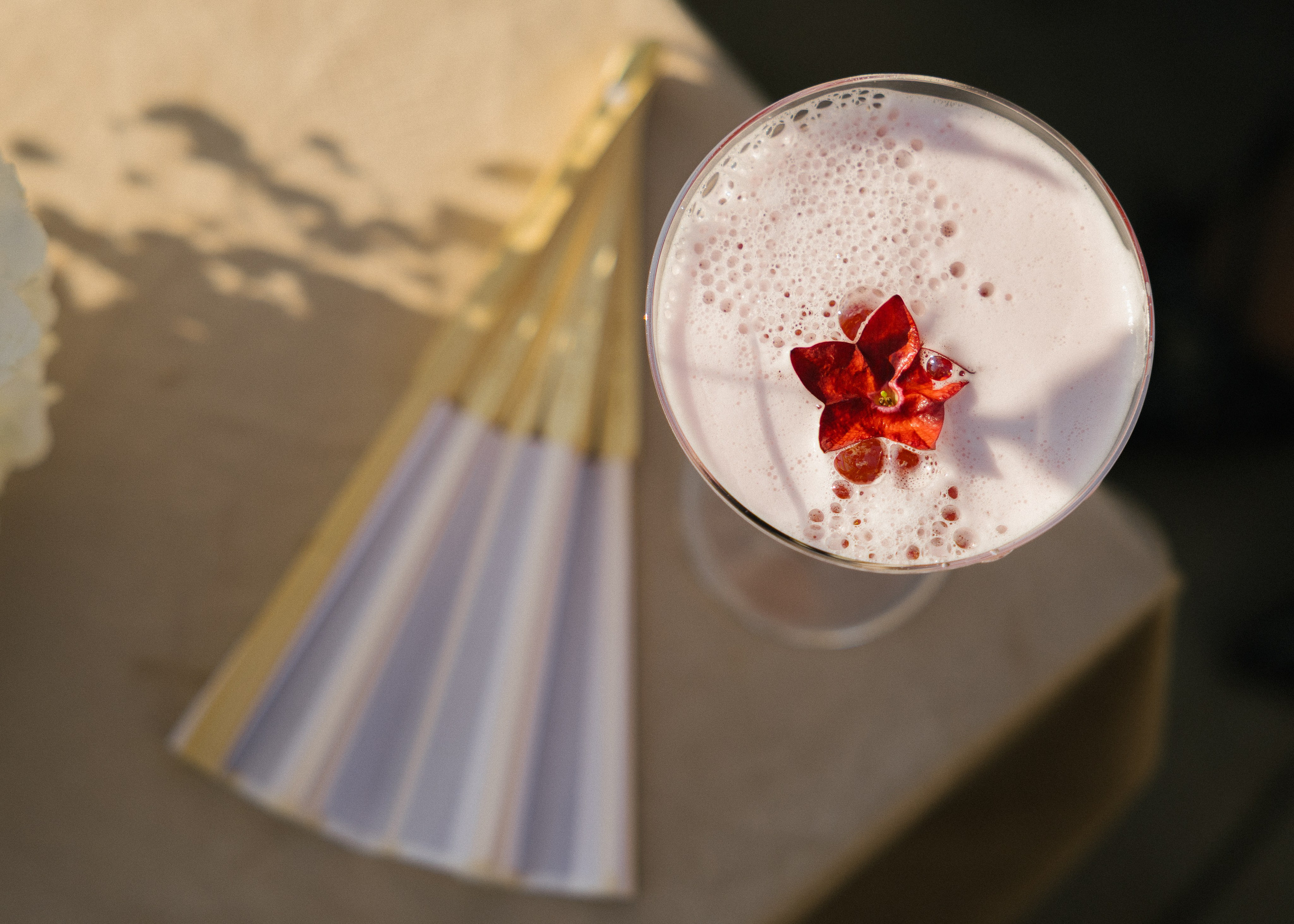 Artem & Anastasia • Castle Bip. Anna Fridenberg | wedding photographer