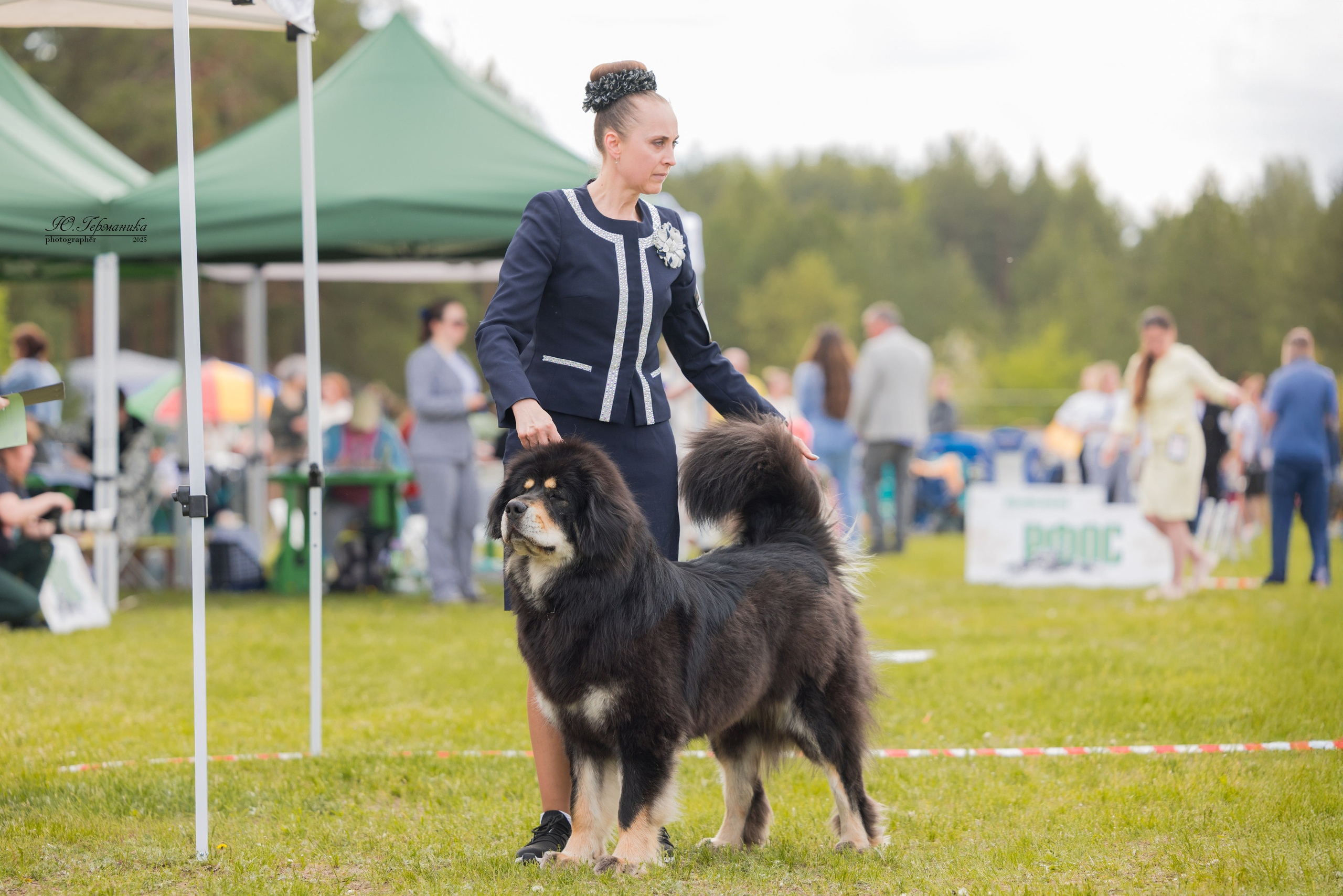 Суздаль(Владимир)17-18.05.2025. Фотограф-анималист Юлия Германика