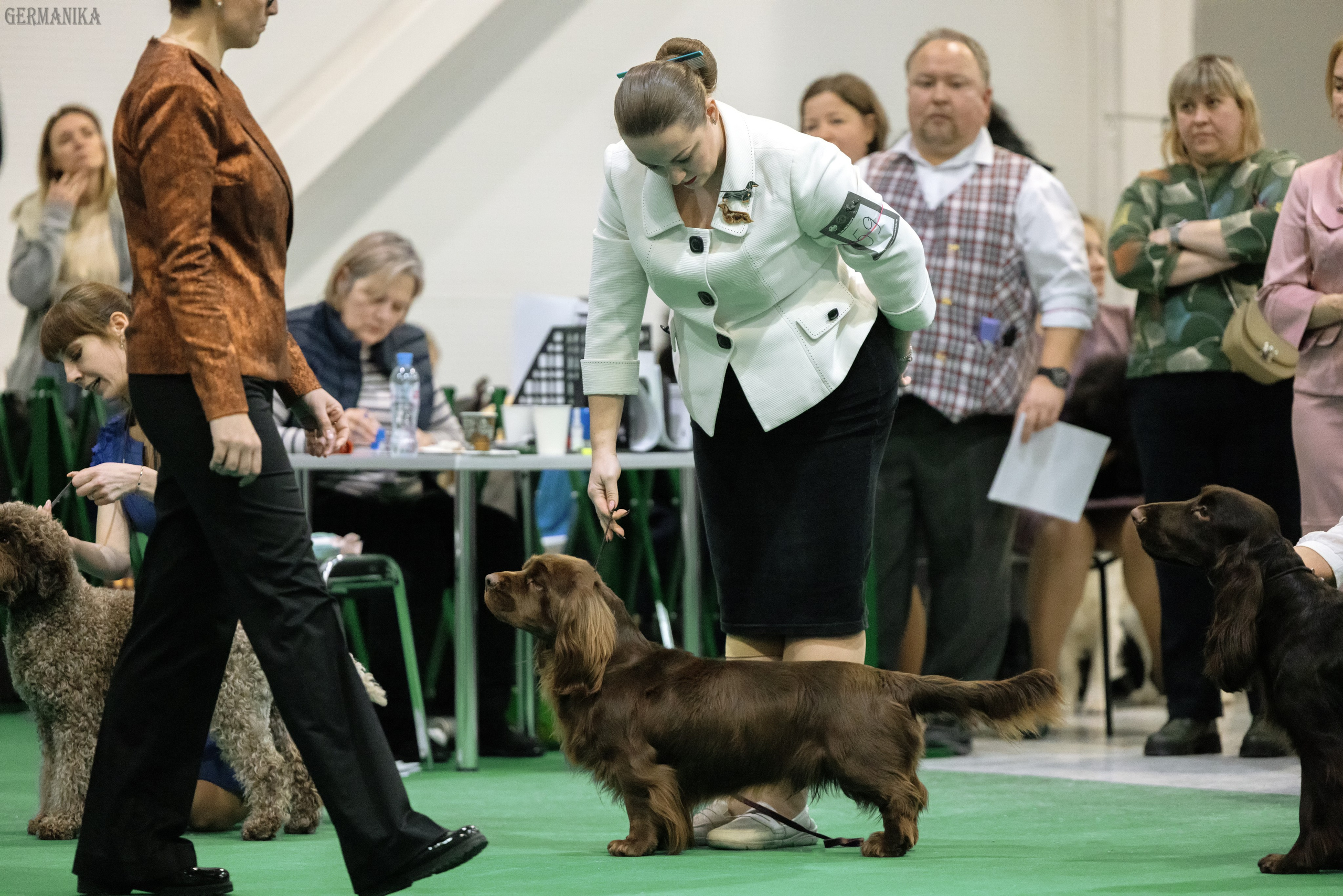Крокус 10.02,Сфера 11.02.2024. Фотограф-анималист Юлия Германика