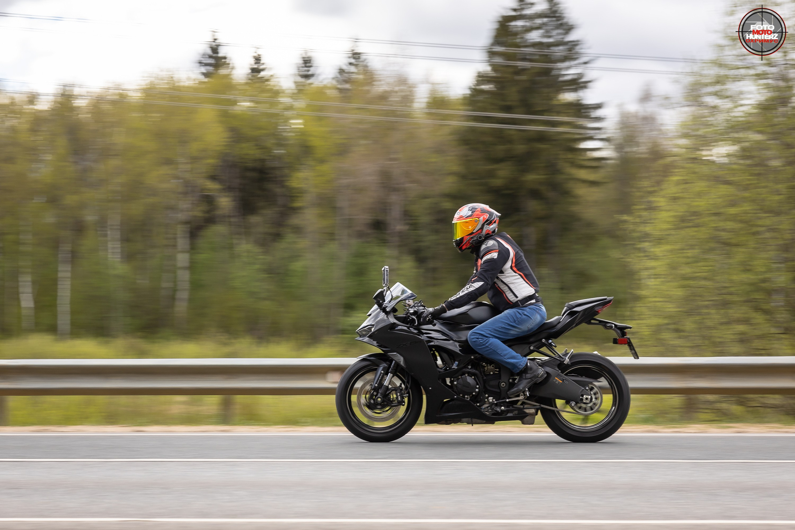 Первое Сафари в 2025 г. на Рогачевском ш. Фотограф Владимир Охрименко