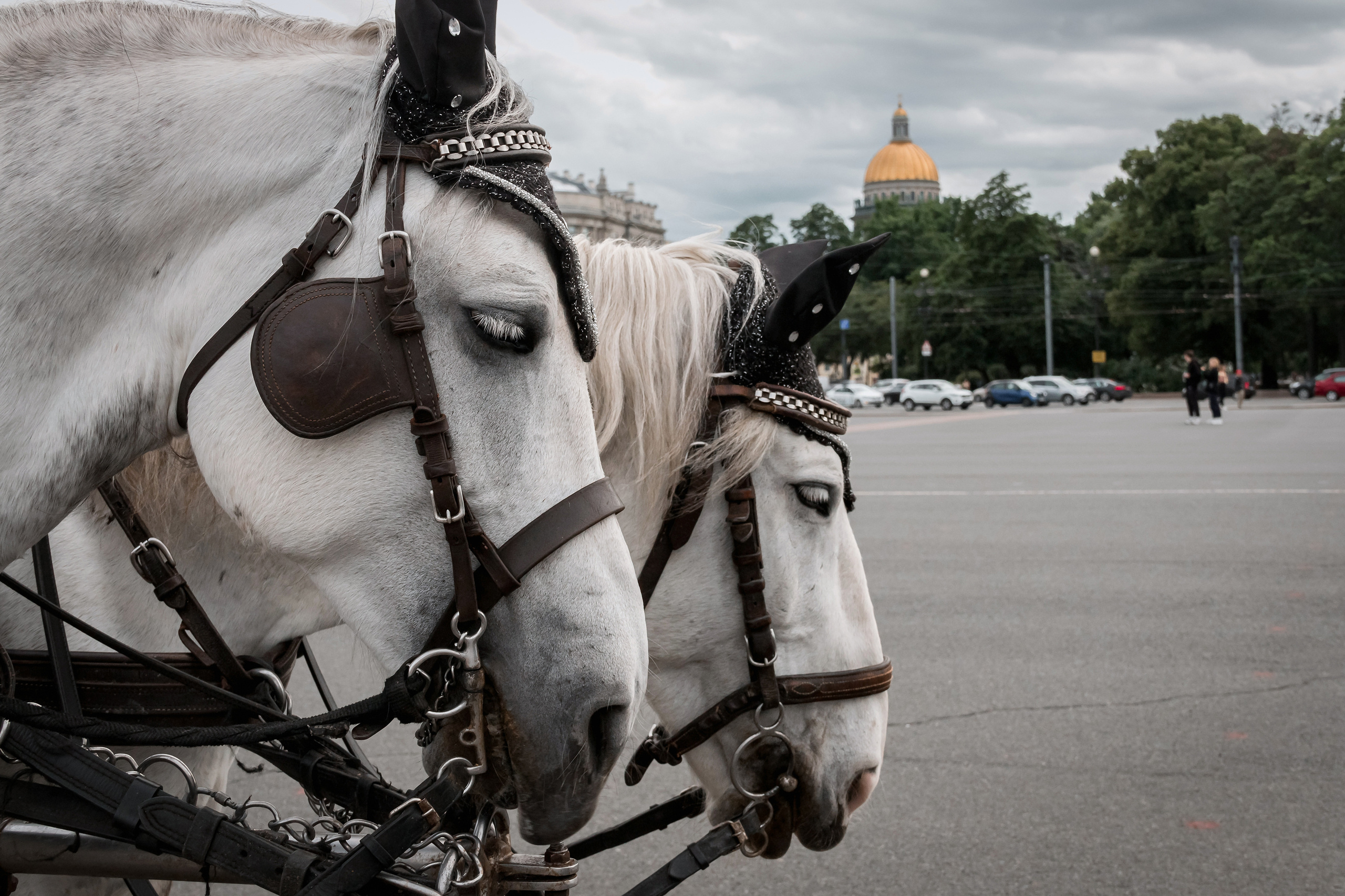 Каролина и Андрей. Семейный, Детский, Репортажный фотограф в Санкт-Петербурге Погодина Лю
