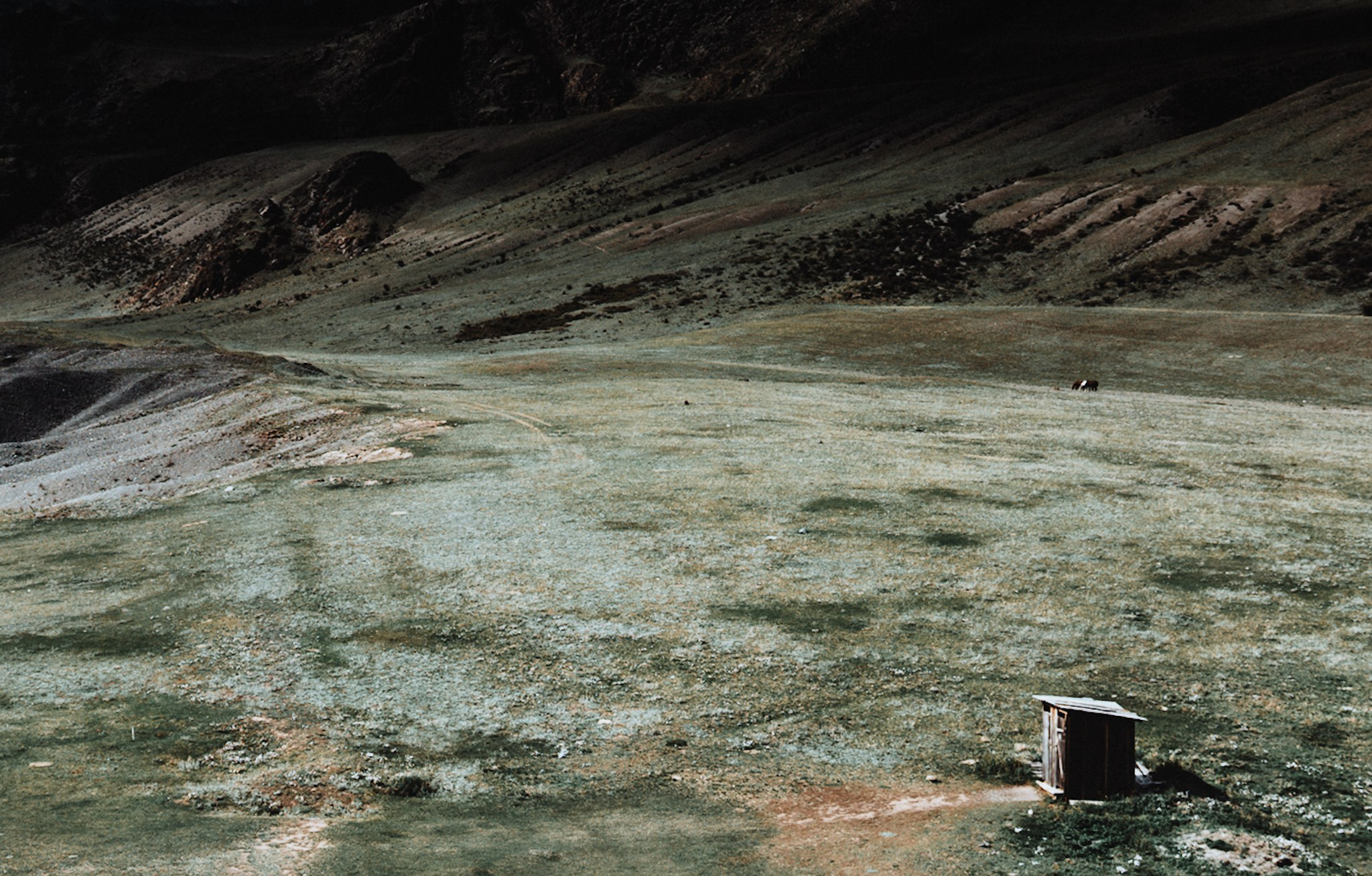 Алтай (мобилография). Фотограф в Москве, в Самаре Инна Мамонова