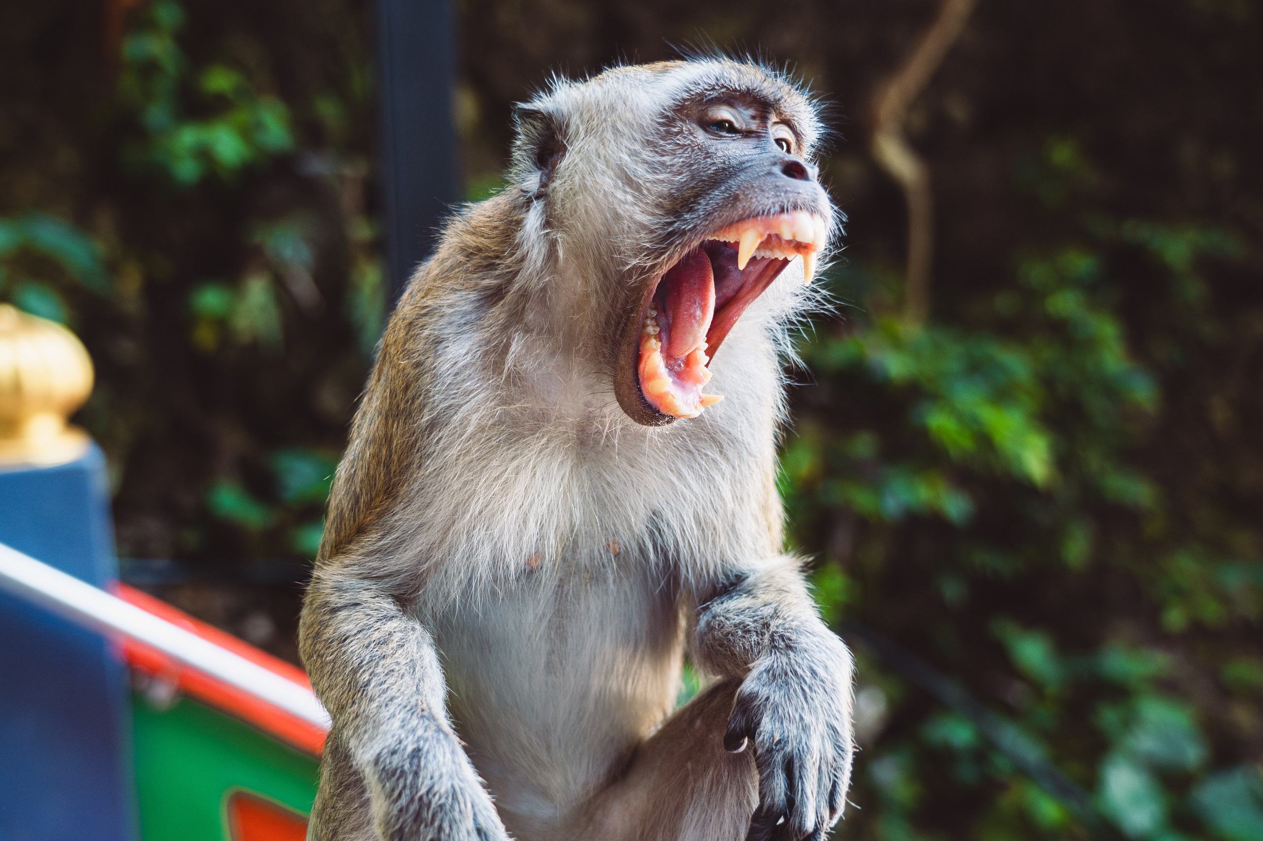 Сингапур и Малайзия. Репортажный фотограф в Москве Легкая Софья