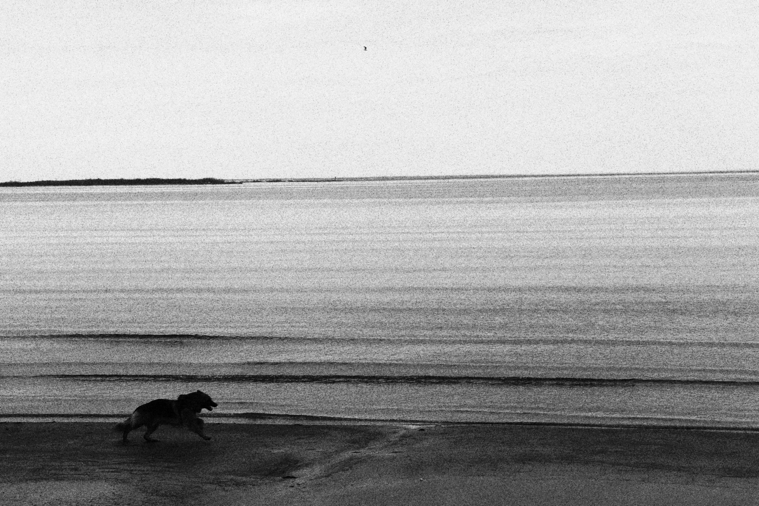 Tallinn. Juliarubis.com