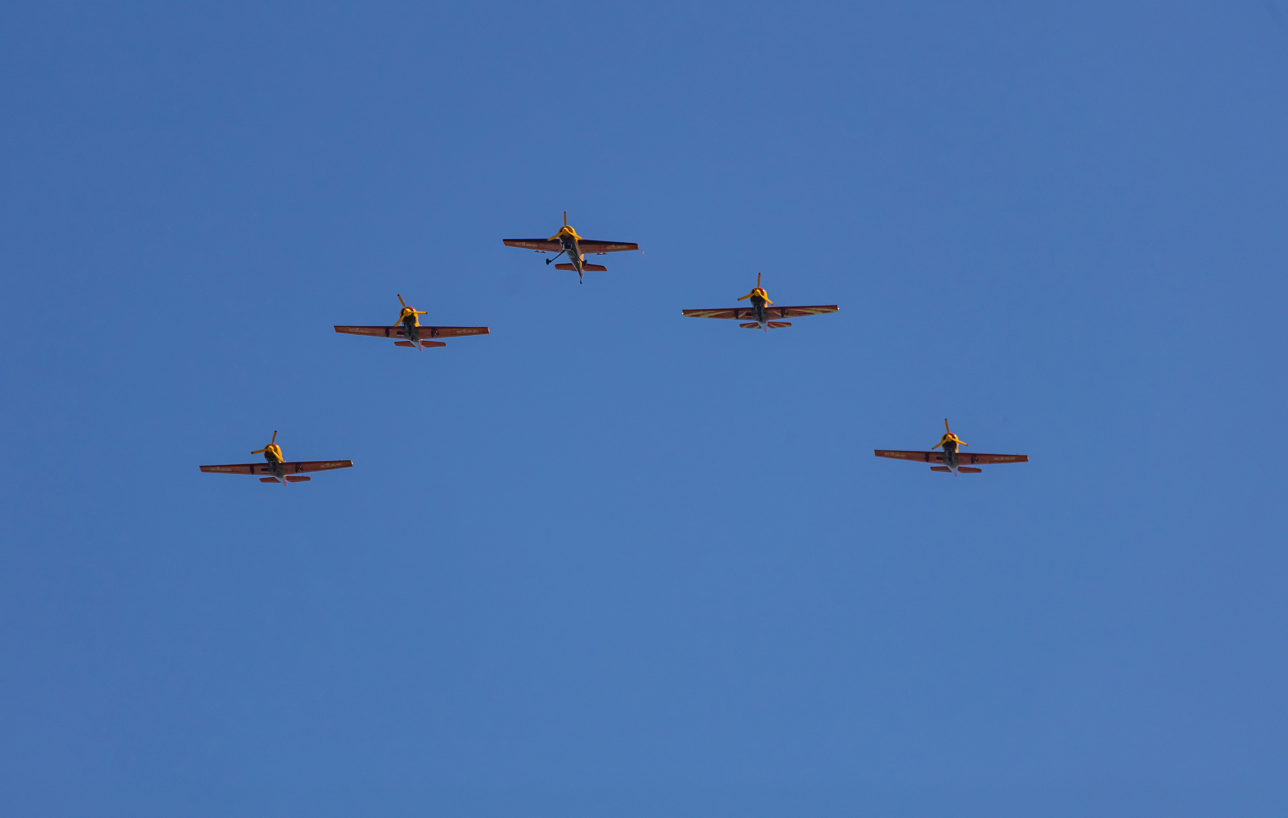 Крылья Пармы 2025 г. KATERINA VINOKUROVA ФОТОГРАФ ПЕРМЬ