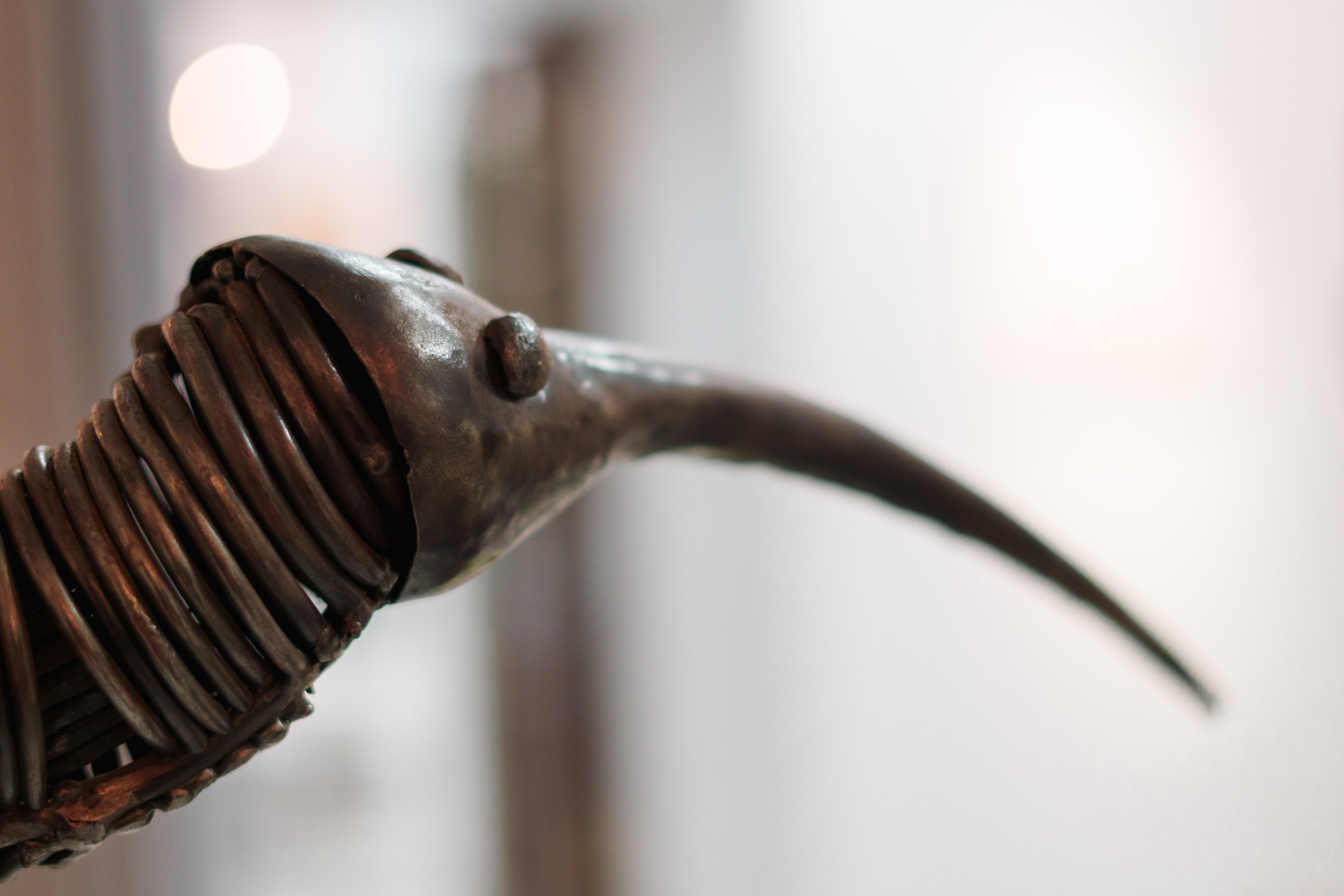 Открытие 11 фестиваля анималистики «Зооарт». Фотограф в Санкт-Петербурге Ибрагимова Алина