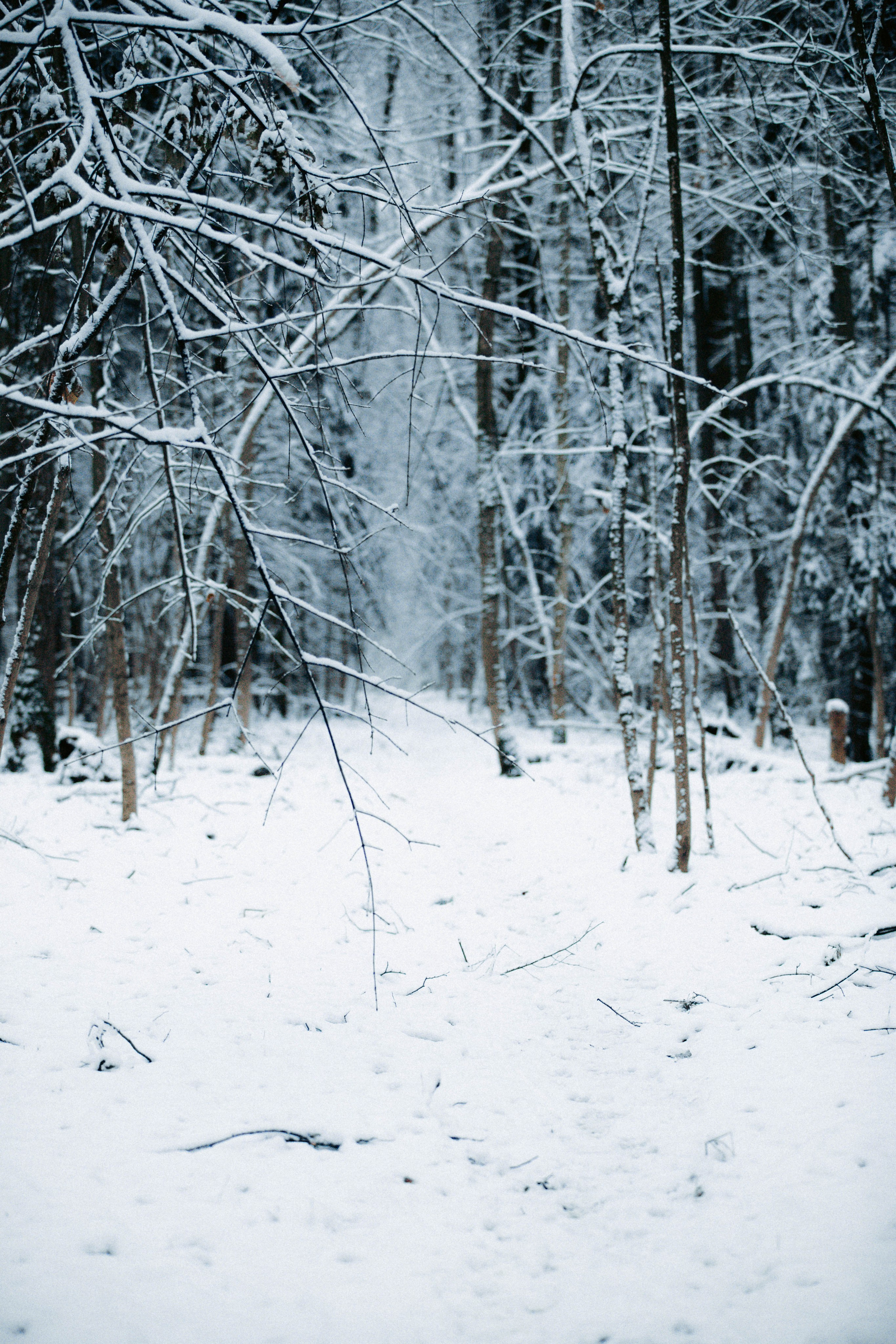 Марафон у дома_Бунино. Александра Мельниченко/ Бегающий фотограф