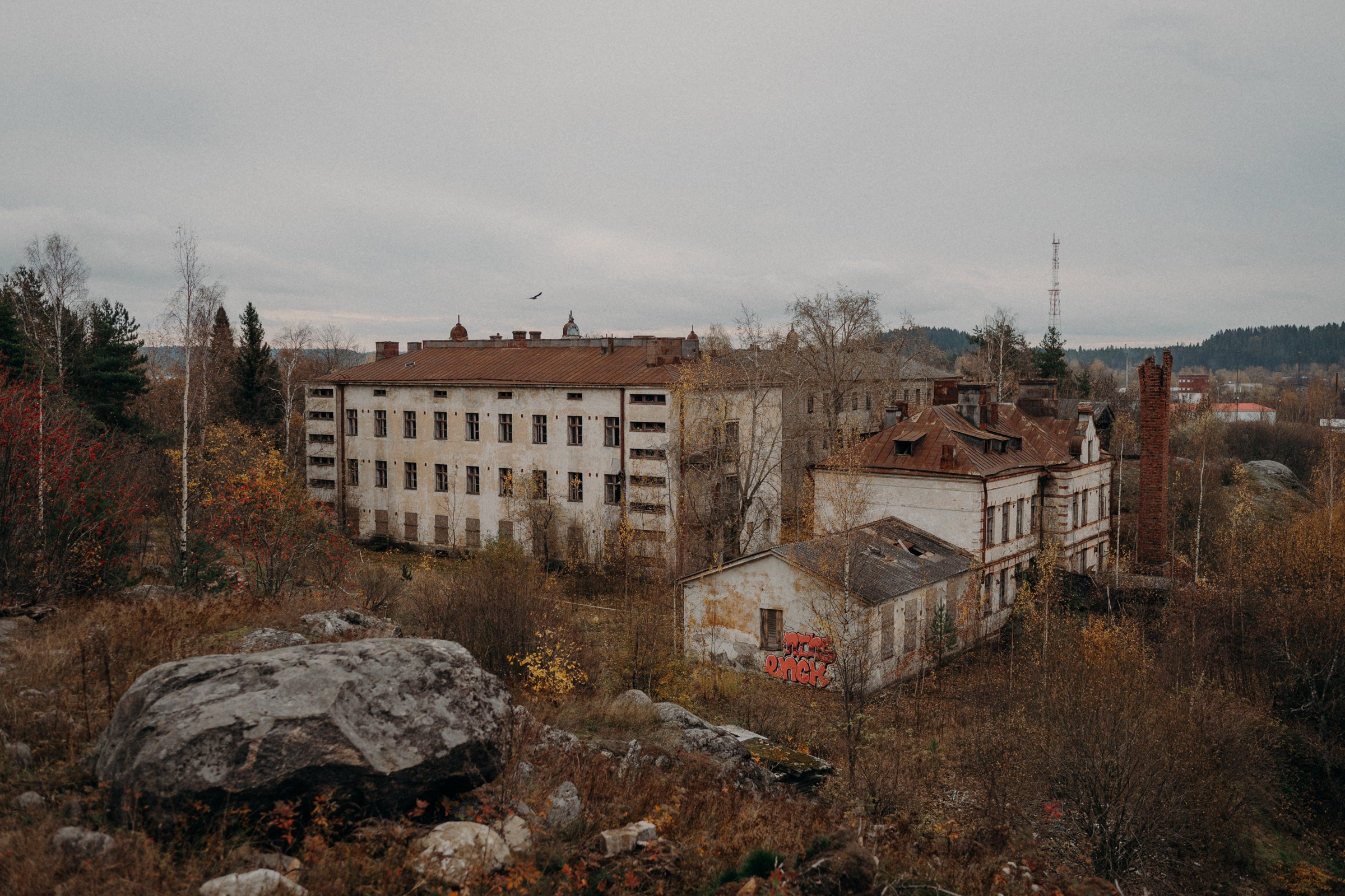 Осенняя поездка в Карелию. Свадебный фотограф в Санкт-Петербурге Венера Ахметова