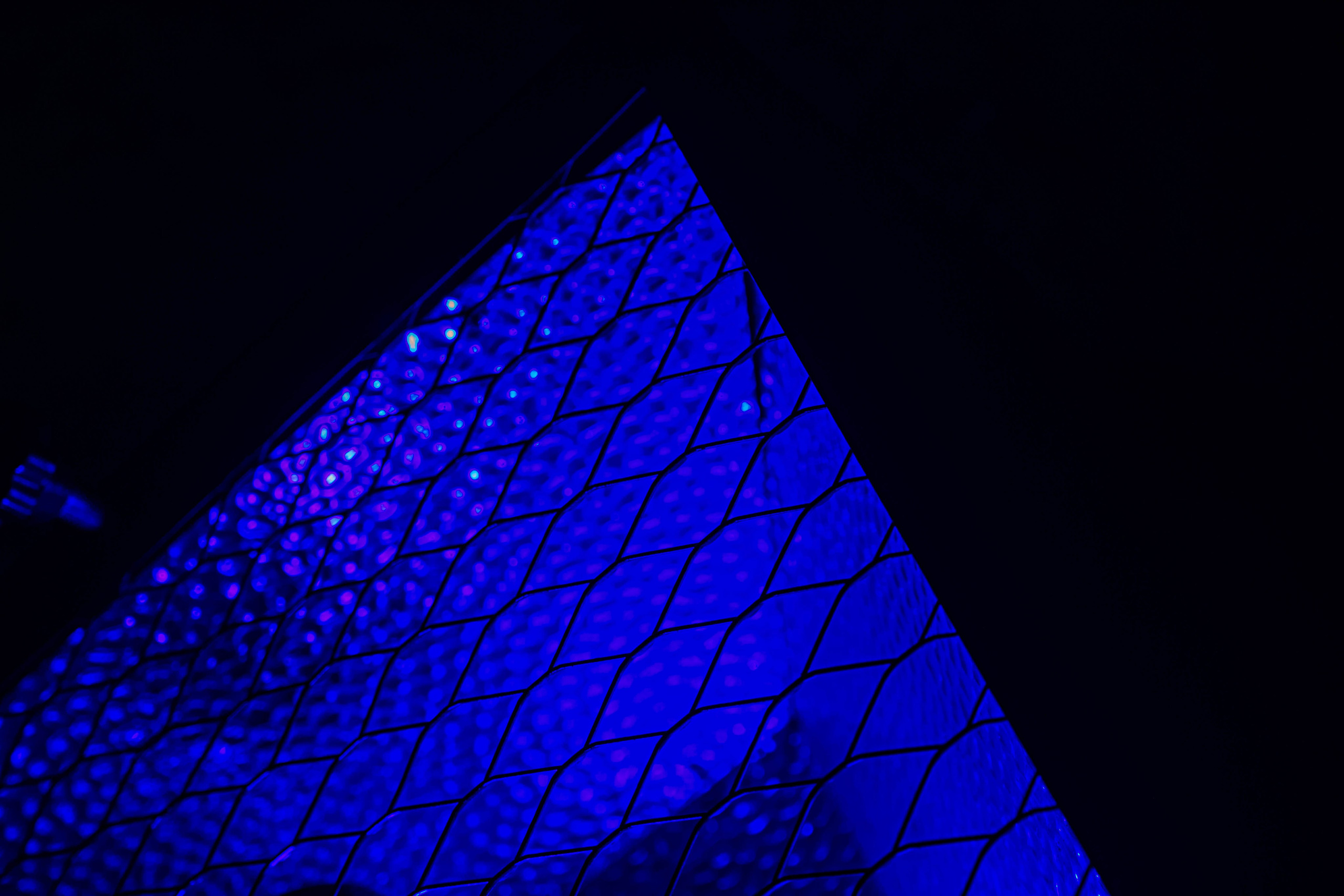 НЕ ТЕМНО_ЛИЦЕЙ им. С. П. ДЯГИЛЕВА 2025