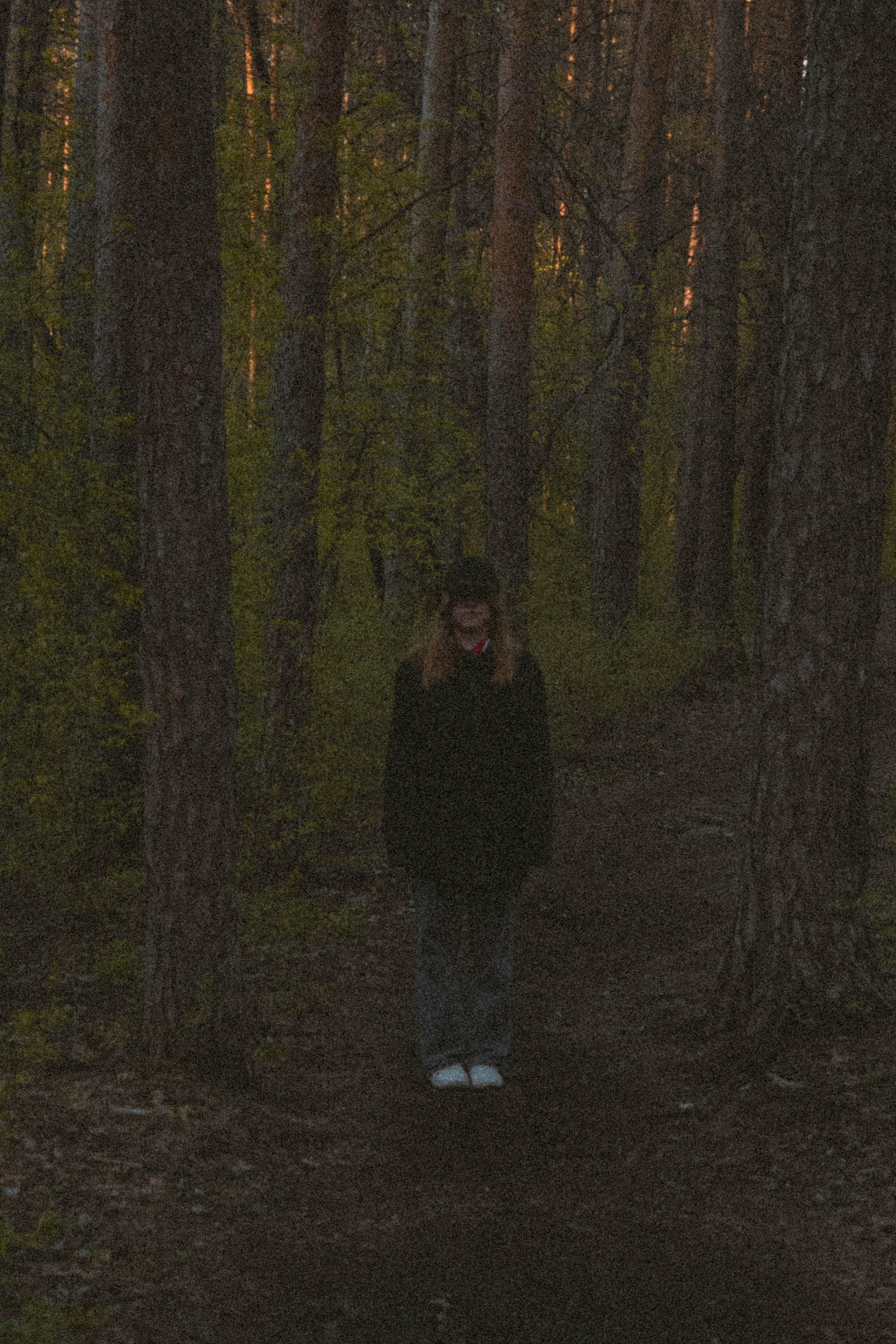 «Без названия»