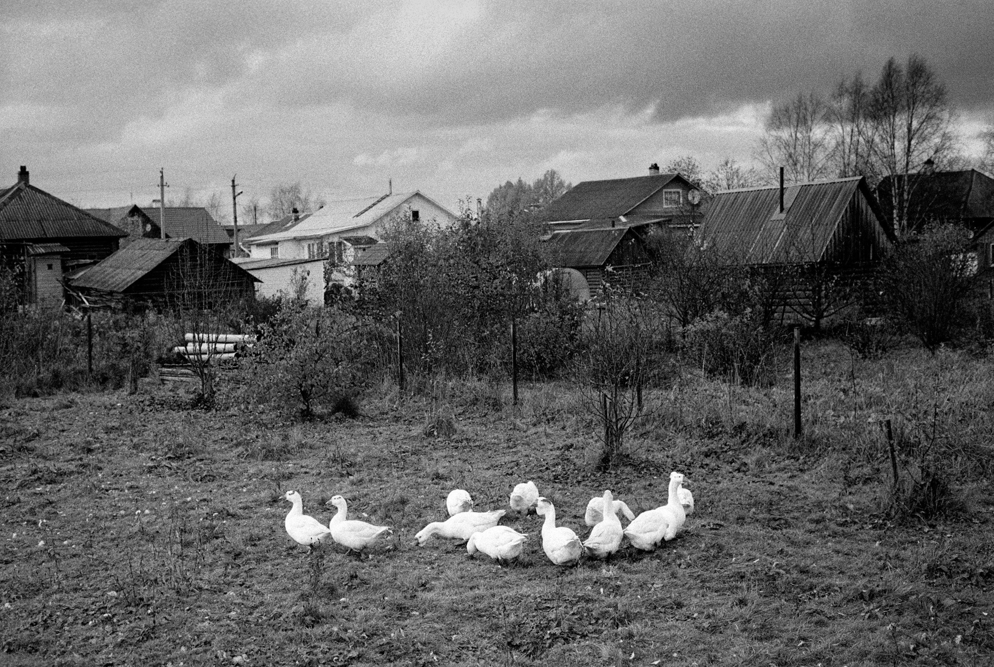 Кострома Blues. Документальный фотограф Алексей Мякишев, Москва