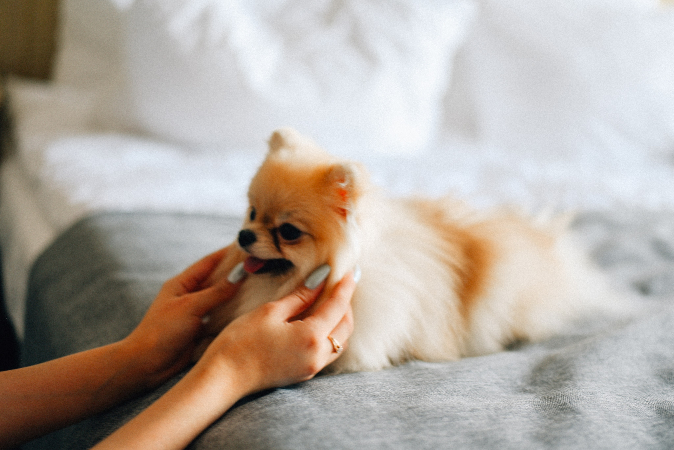 ARBAT HOUSE HOTEL. Фотограф Лола Волна, город Москва