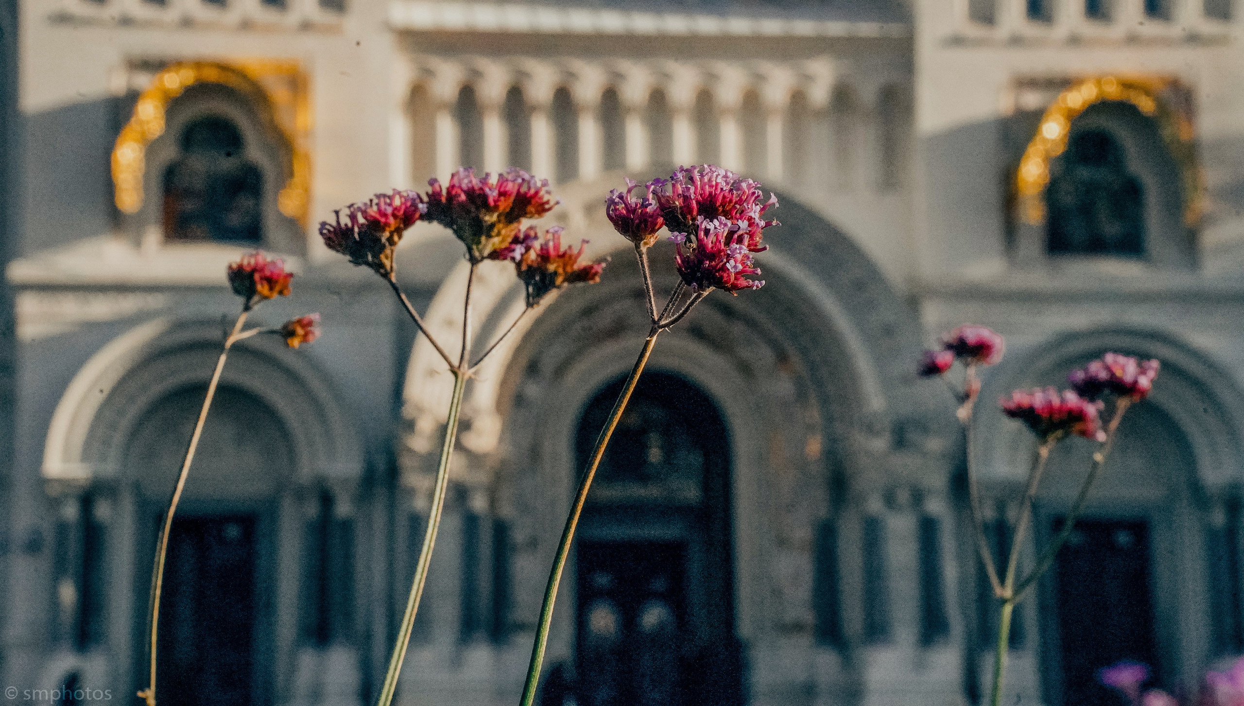 Уличная и репортажная фотография. Репортажный фотограф в Москве Светлана Мулыкина