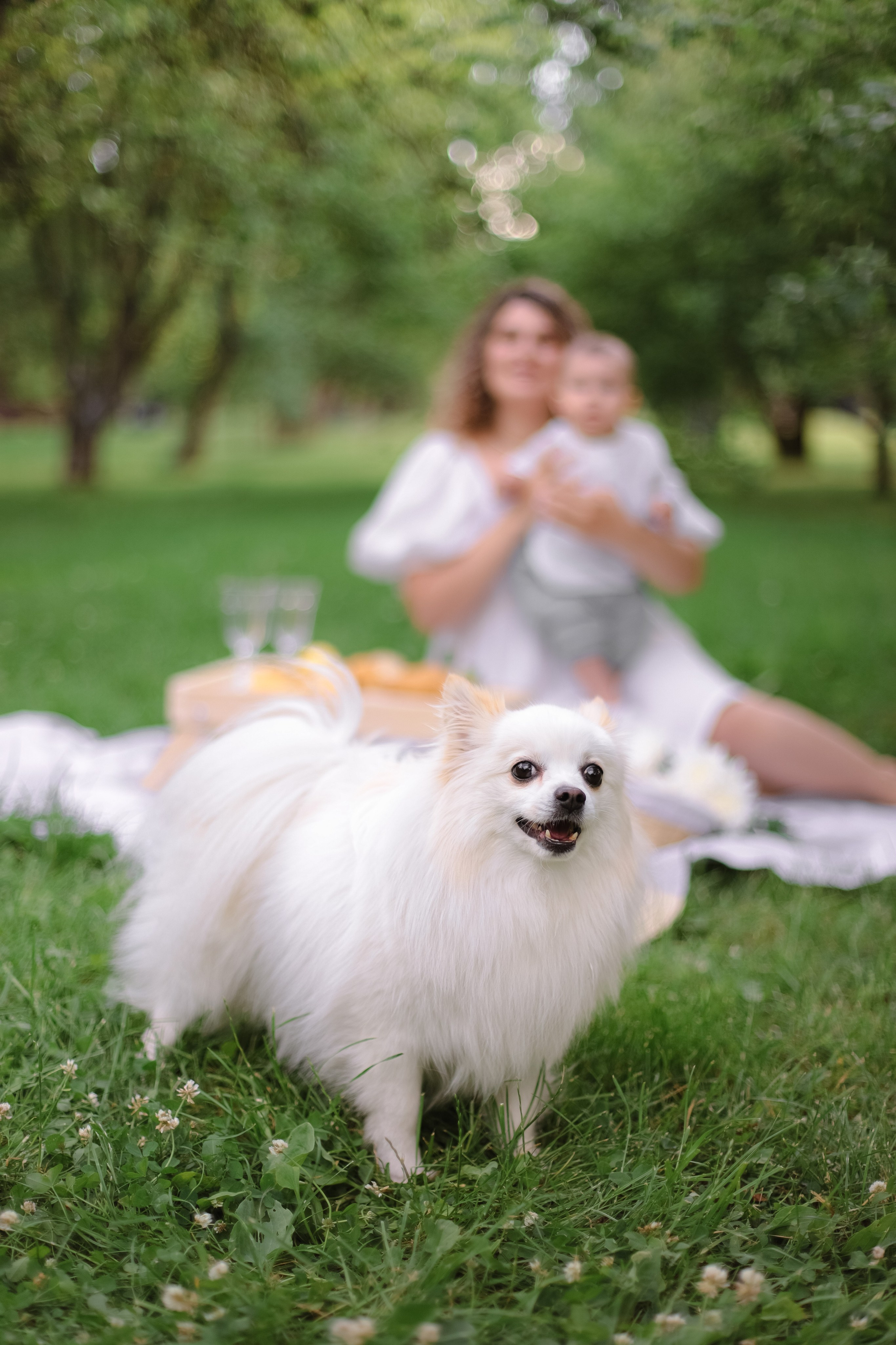 Пикник: Саша, Алёна, Прохор и Миша. Свадебный, семейный и детский фотограф в Люберцах Зайцева Анастасия