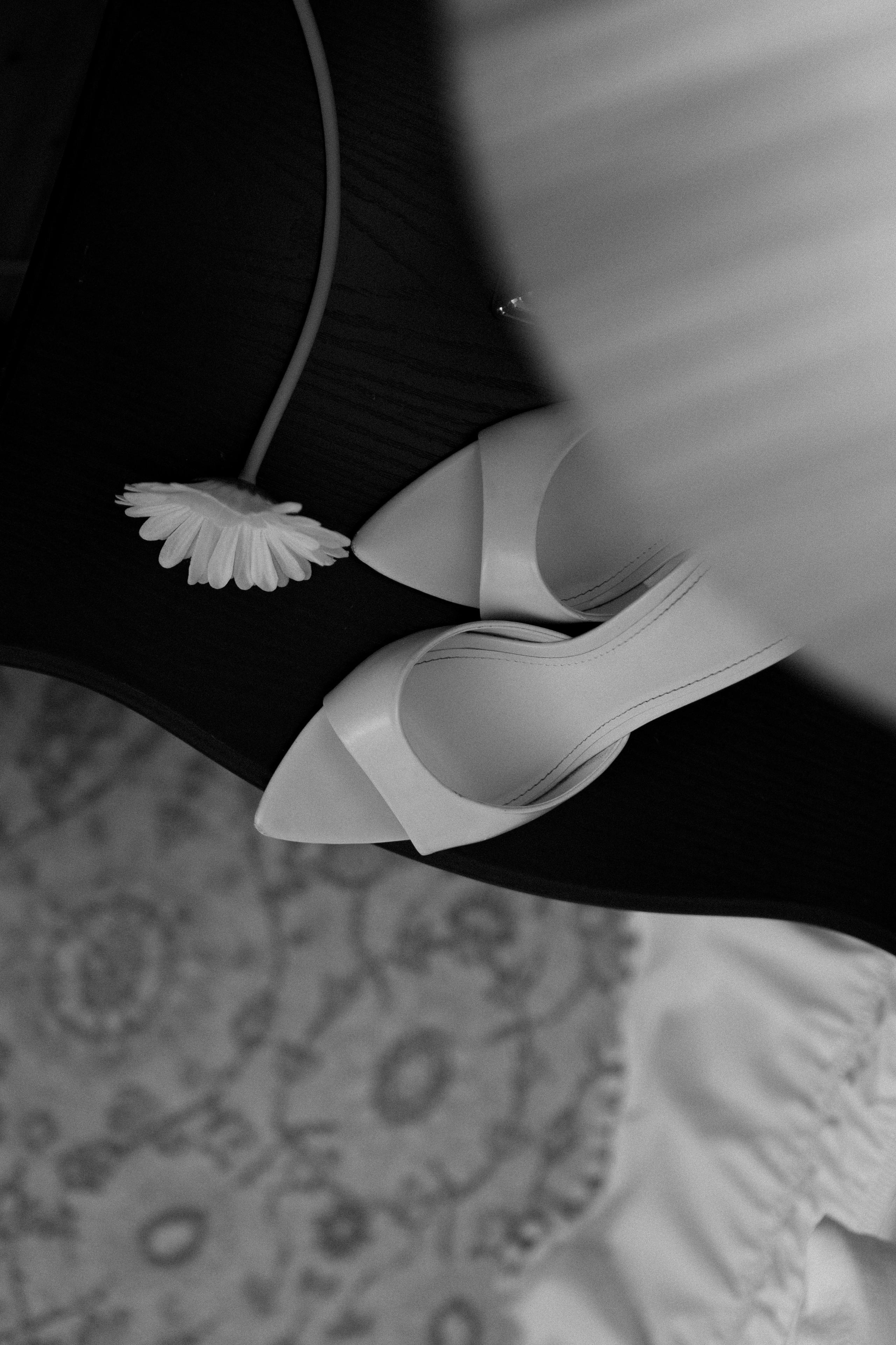 Анастасия. Фотограф в Москве Таша Логинова