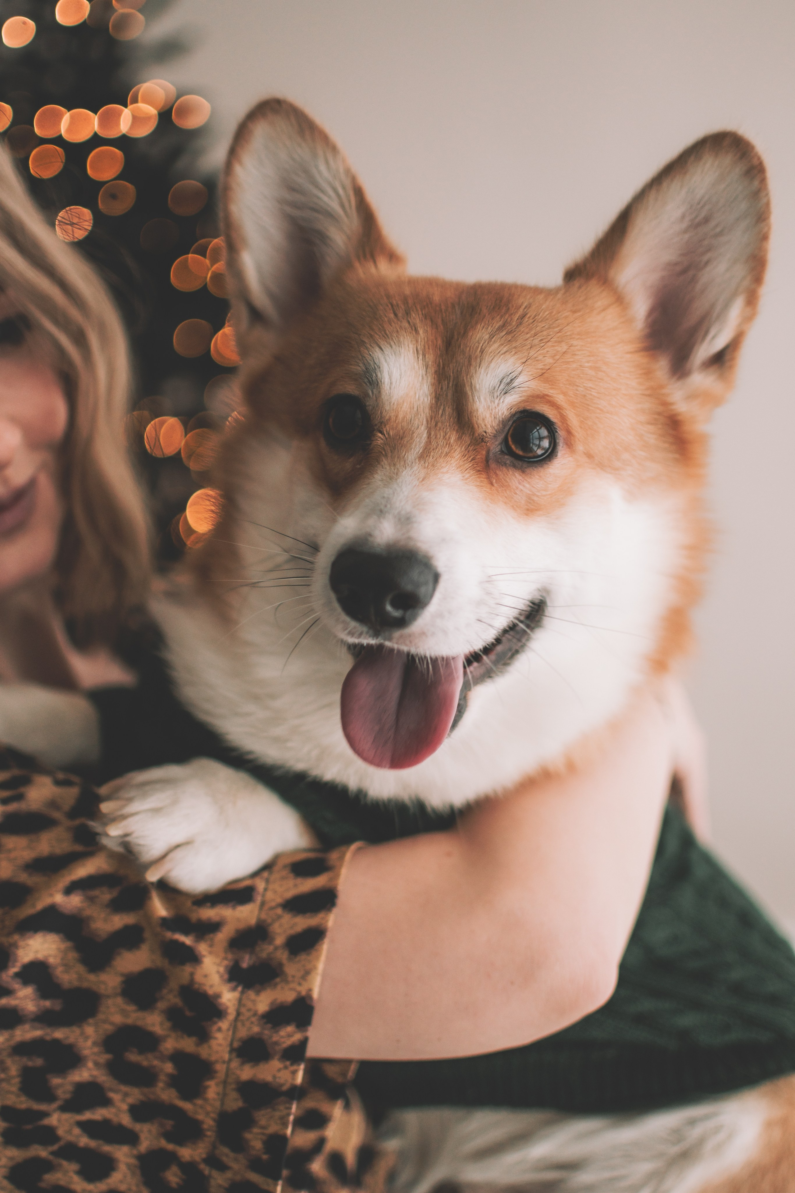 Евгения+Милкис. Семейный и свадебный фотограф Губкинский и Ставрополь