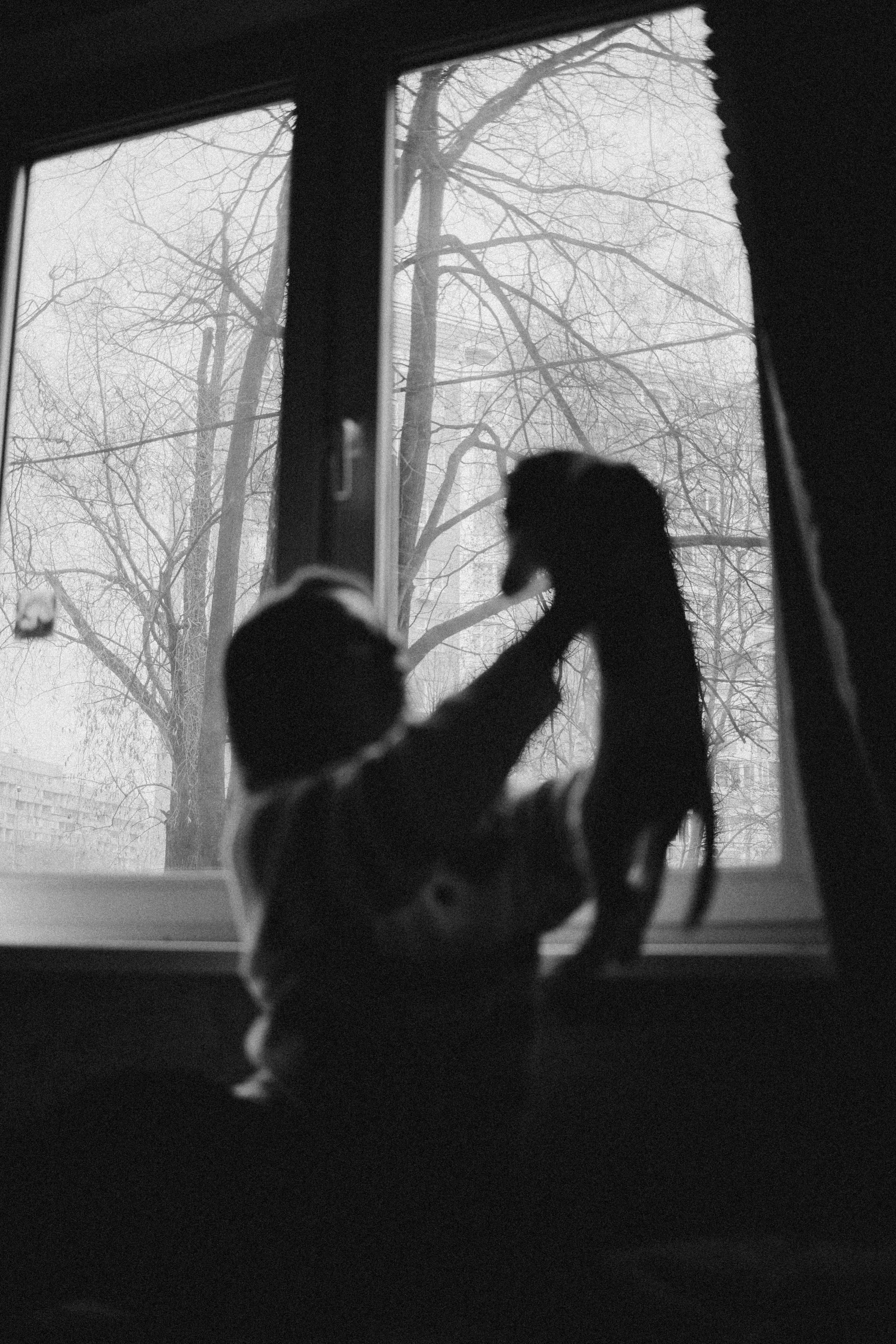 Юля и Кипр. Фотограф-анималист в Москве Лера Черноног