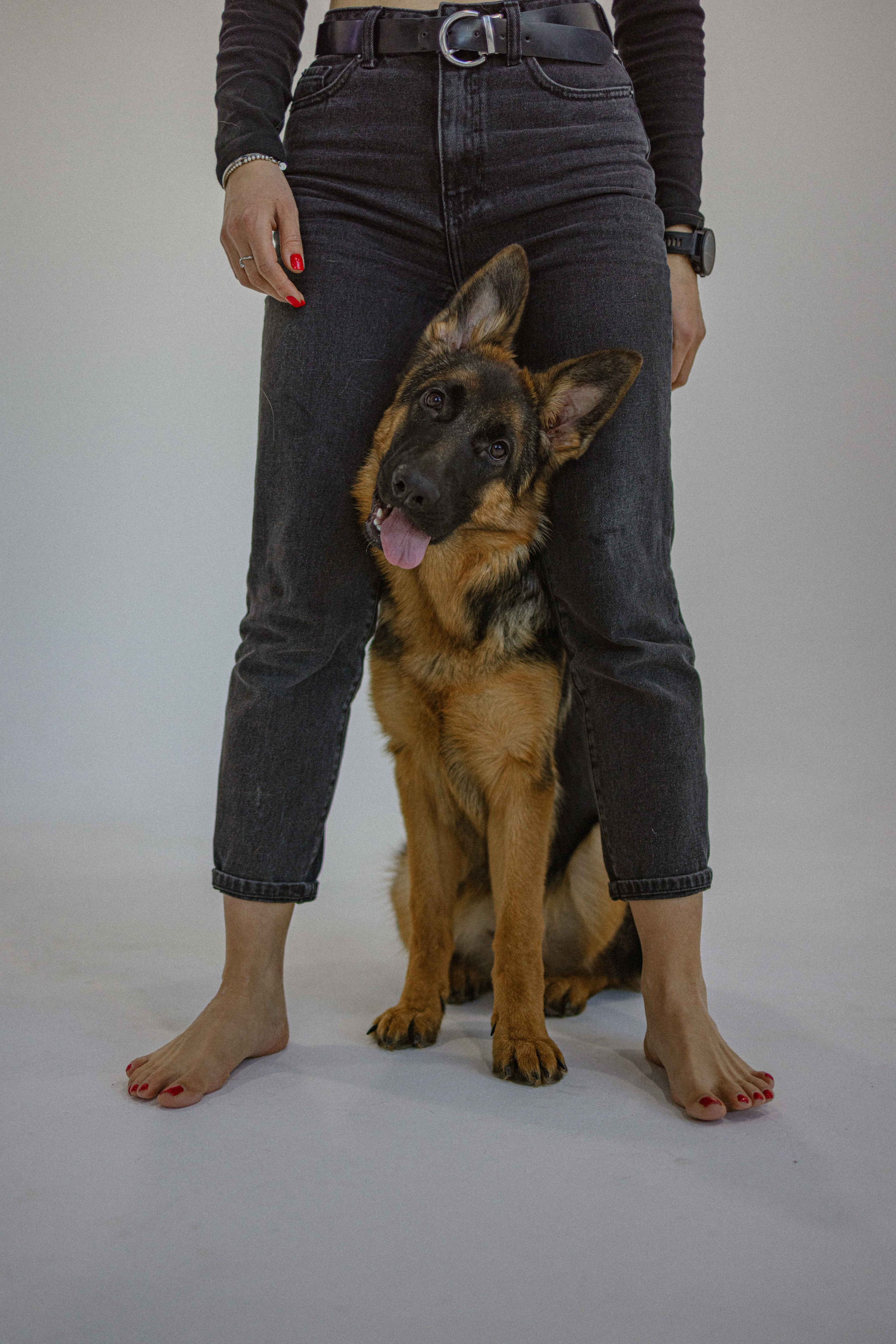 Ася и Буся. Фотограф-анималист в Москве Лера Черноног