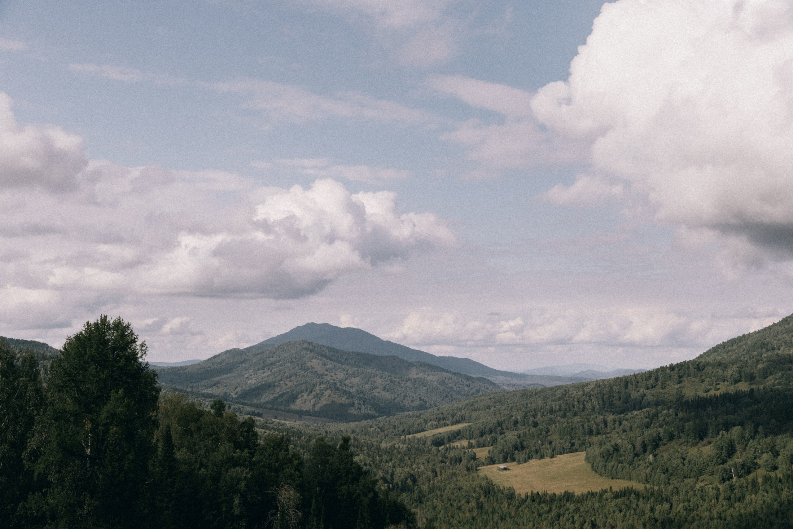 Алтай, природа и эстетика. Александр Чернин. Семейный и событийный фотограф