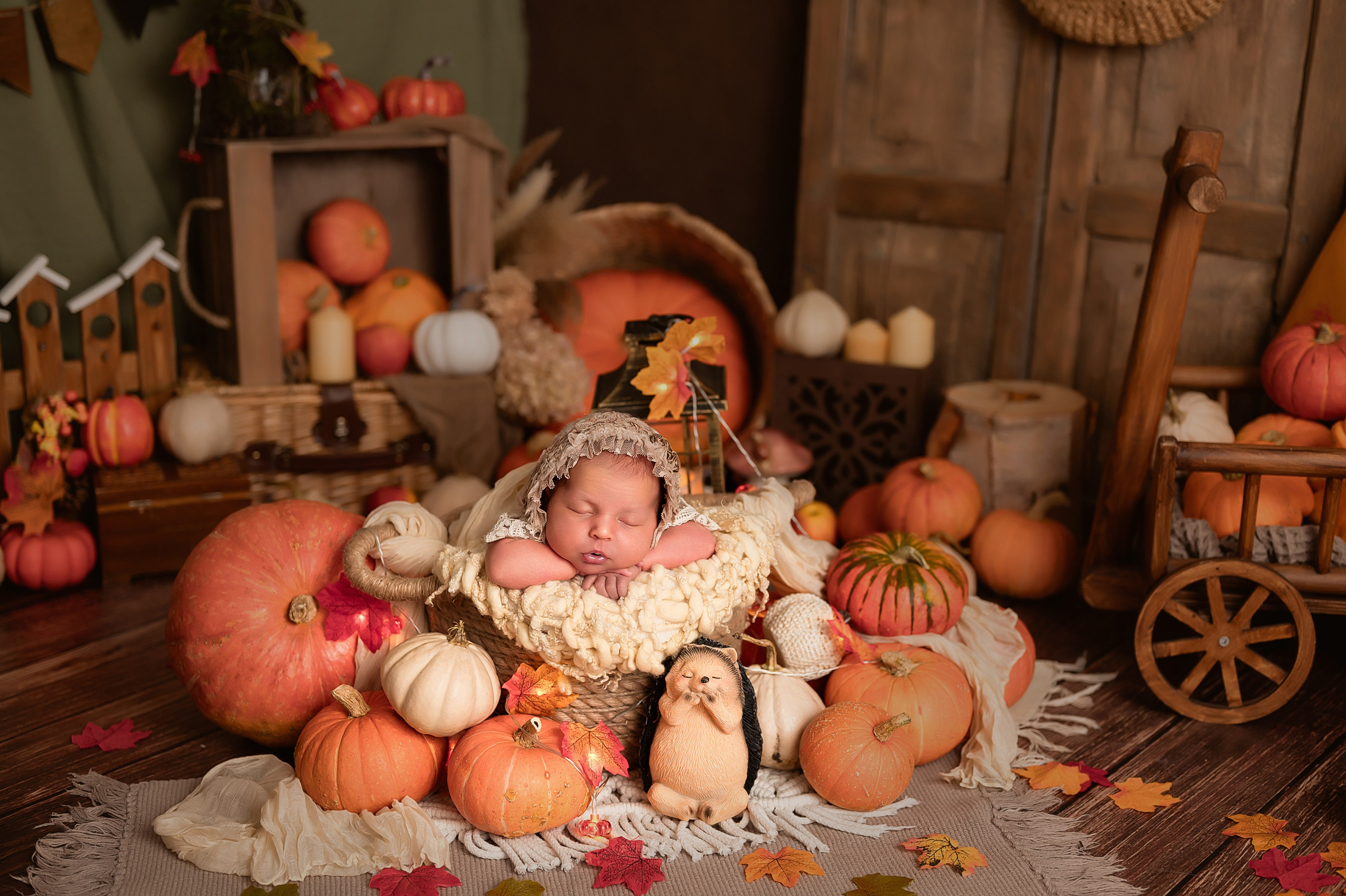 Ксюшенька. Детский и семейный фотограф в Красноярске. Фотосессии новорожденных малышей до 1 месяца