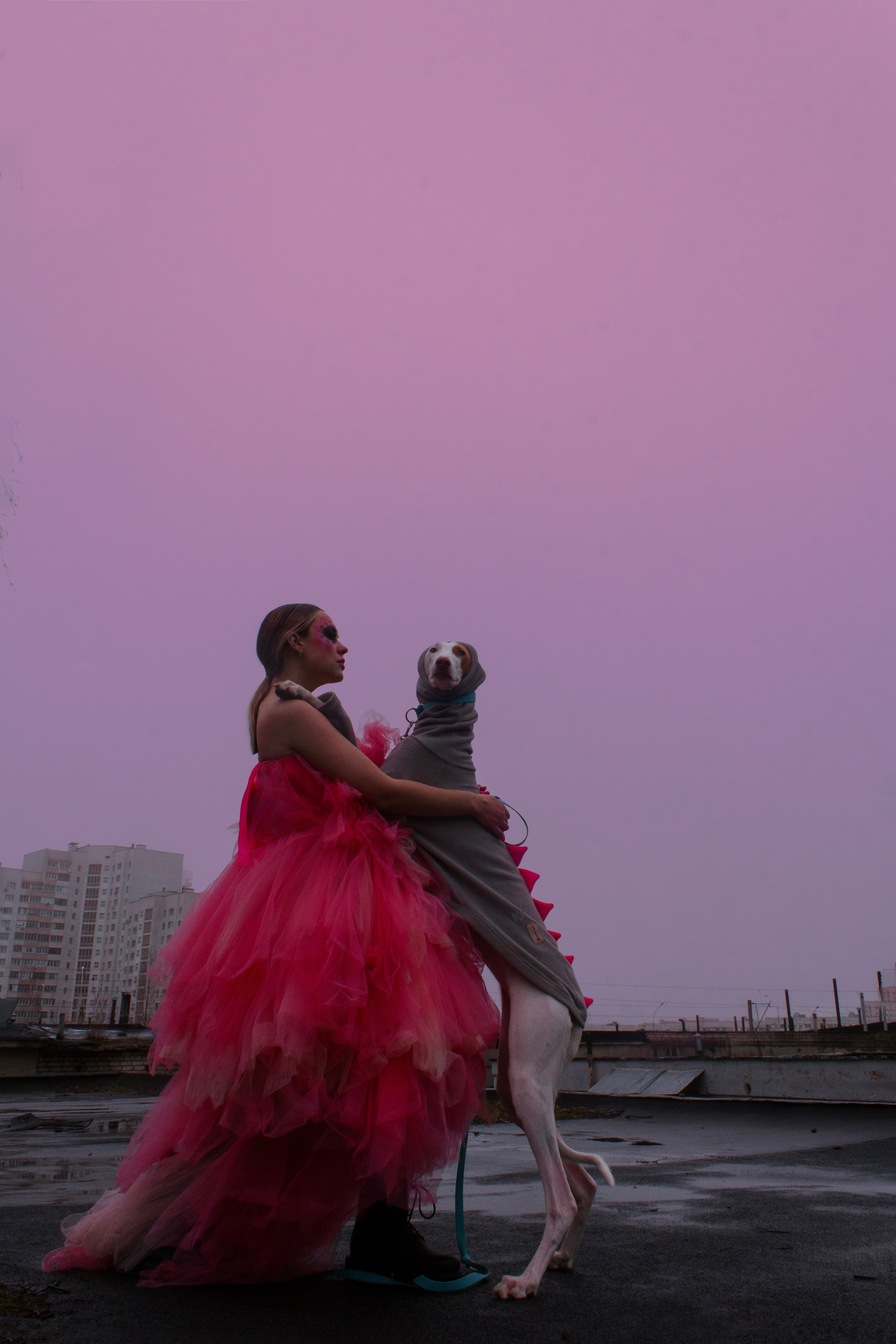 Яркая собачья жизнь