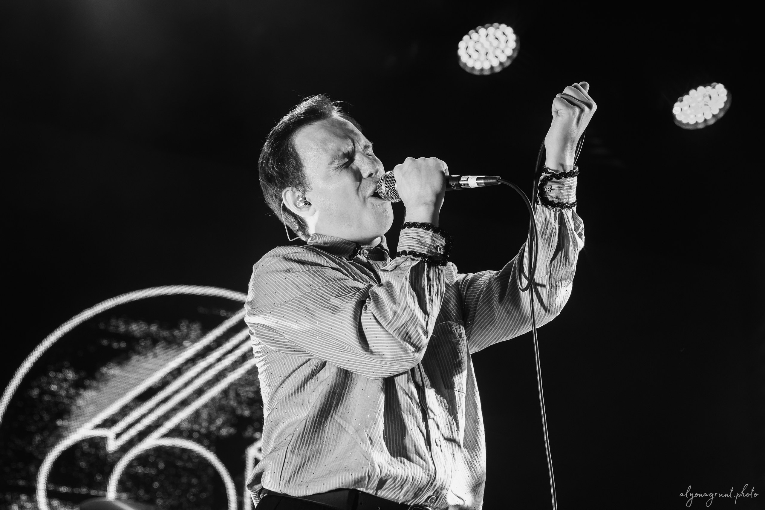 Сова, фоторепортаж, СПб, Космонавт, 18.12.2025. Алена Адрианова: фотограф в Санкт-Петербурге