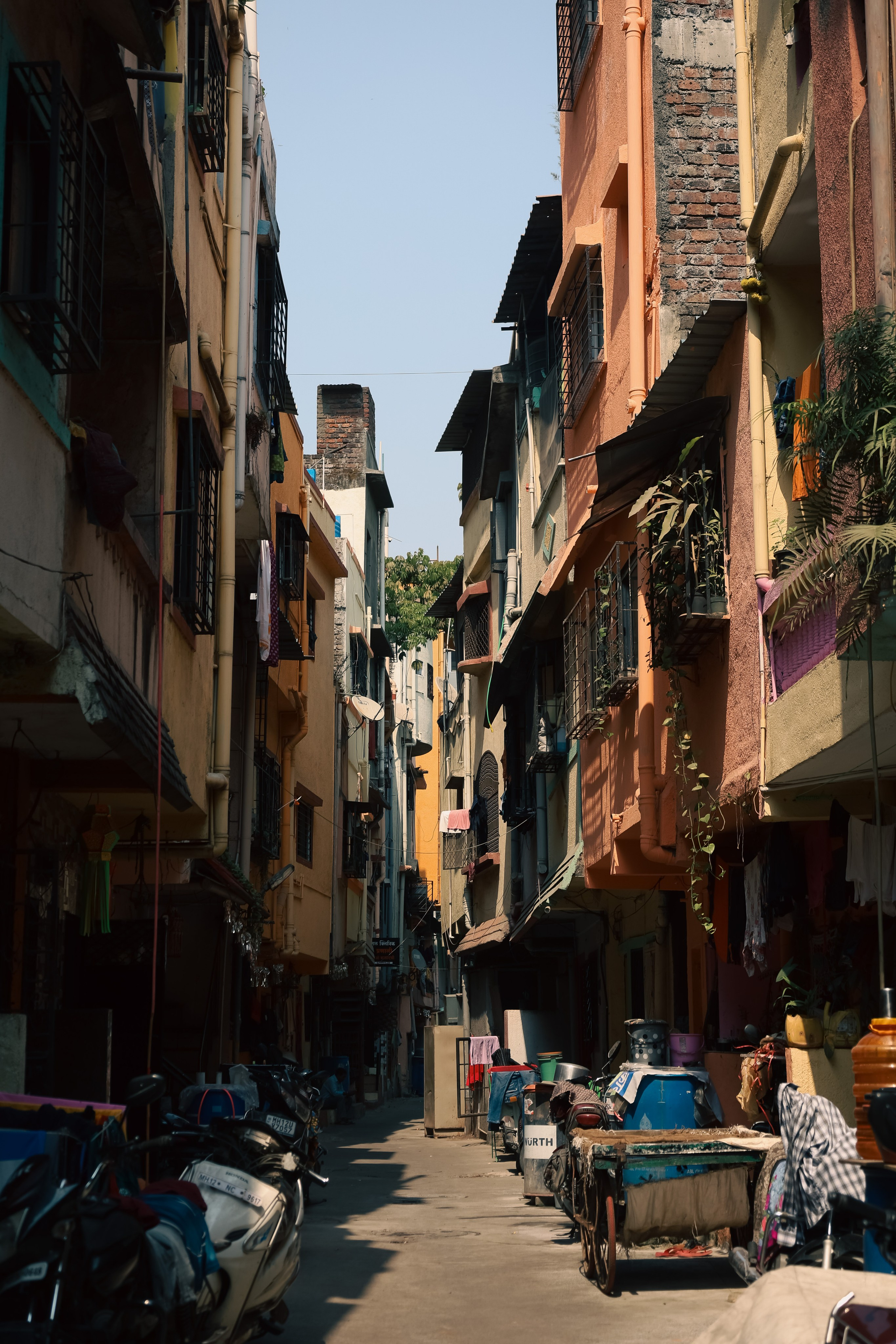 India. Фотограф в Москве
