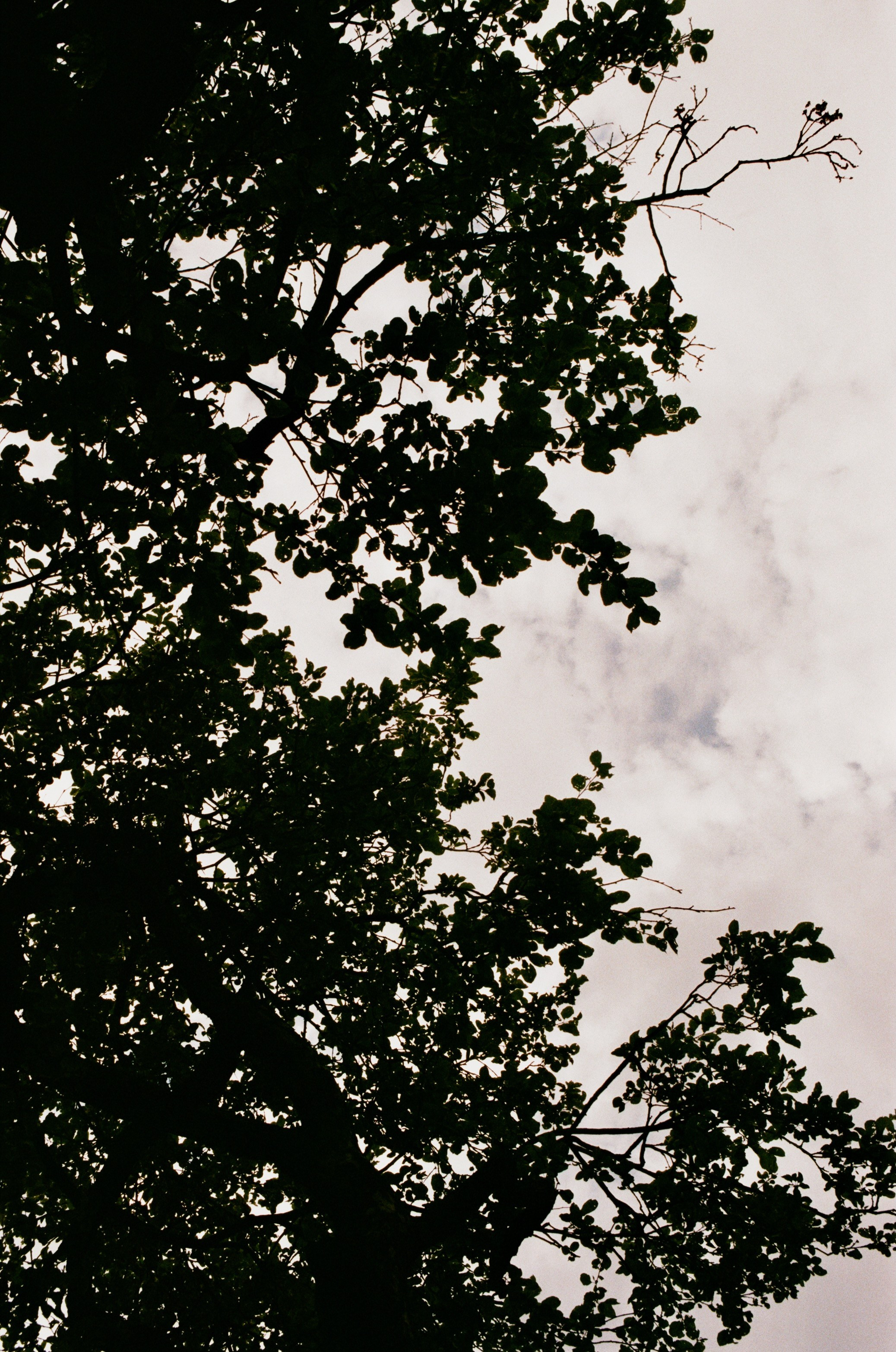 Film. Ruslan UI Dev Page