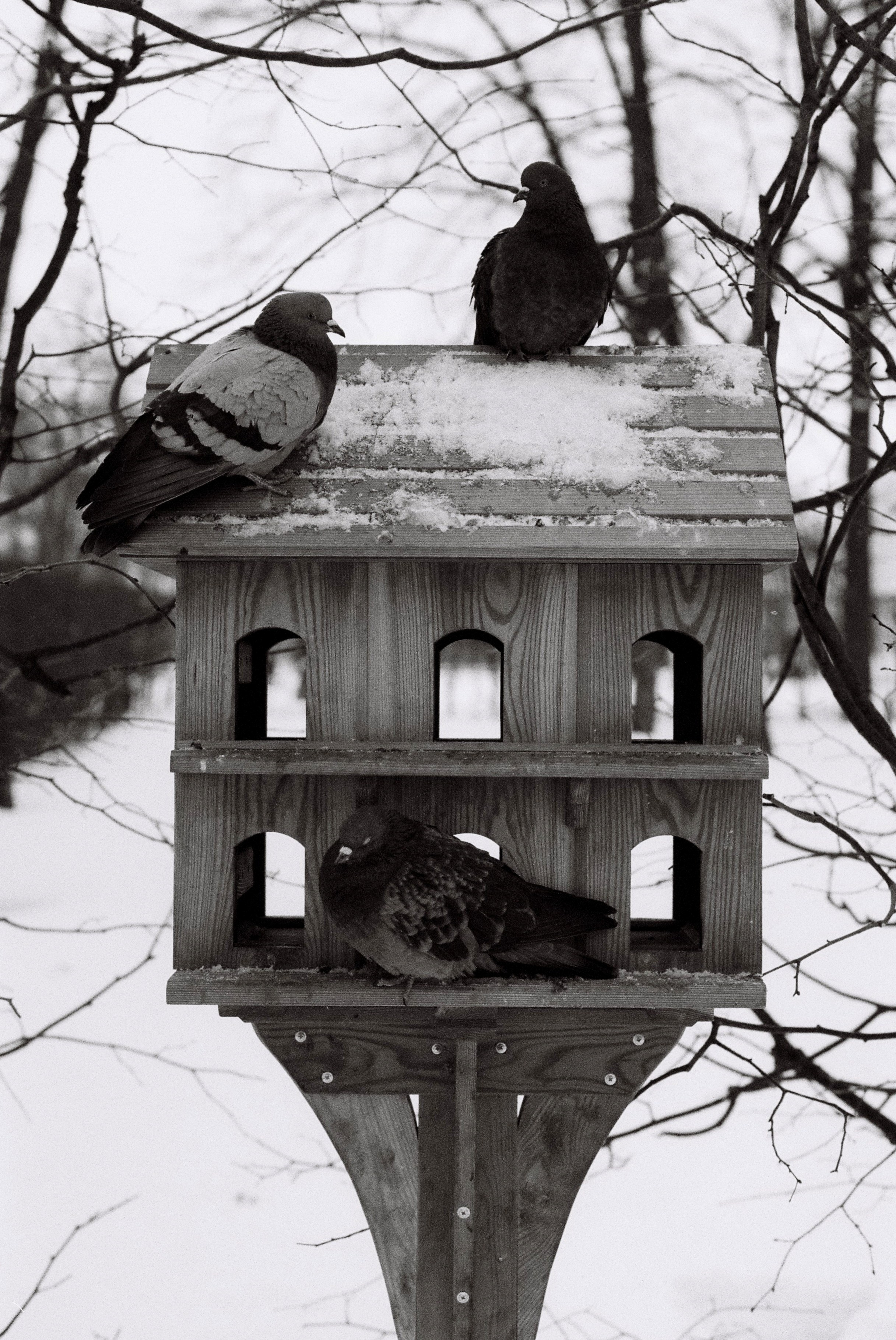 Film. Ruslan UI Dev Page