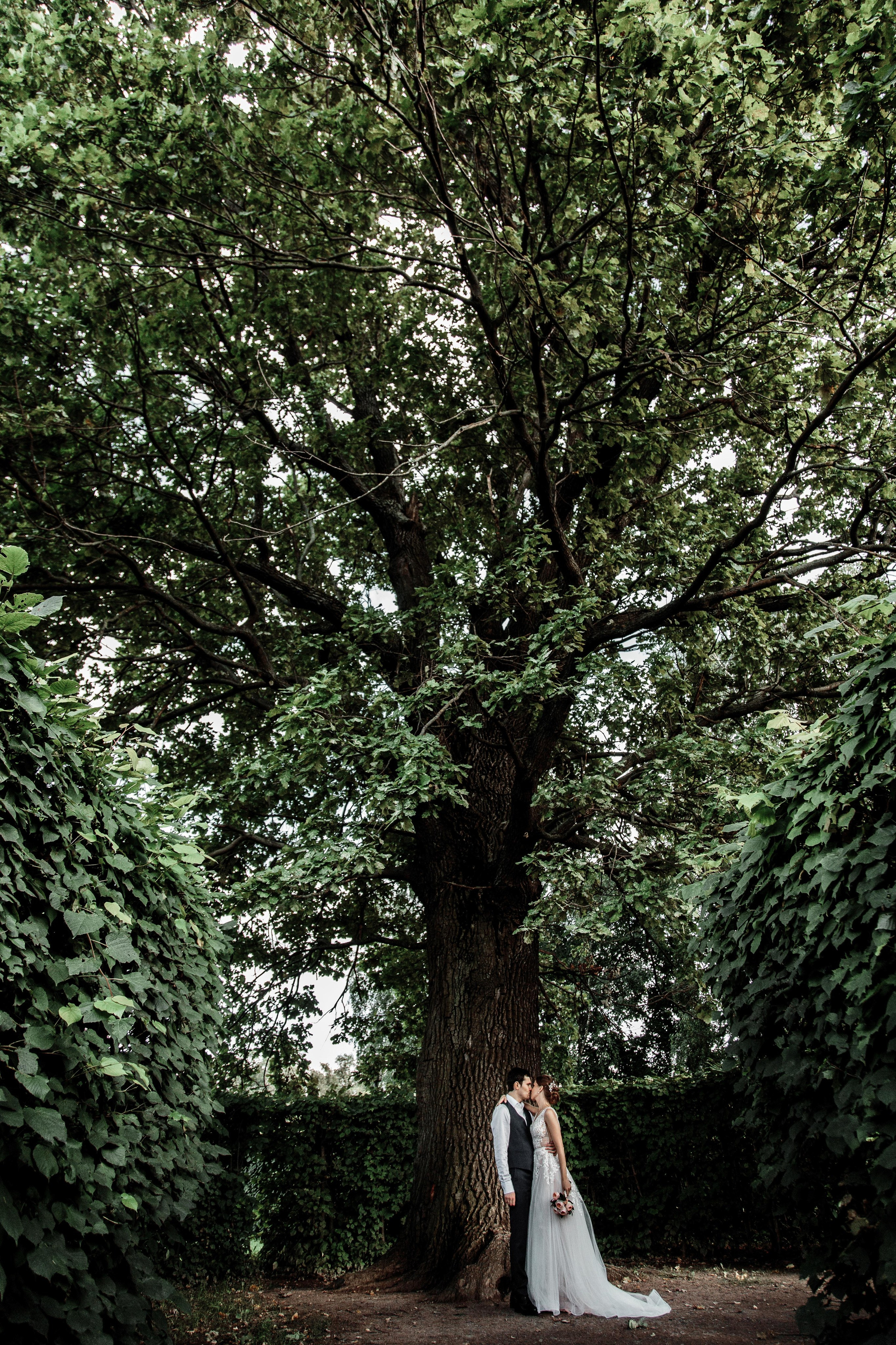 Александр и Любовь. Свадебный фотограф Александр Абрамов Москва / Зеленоград