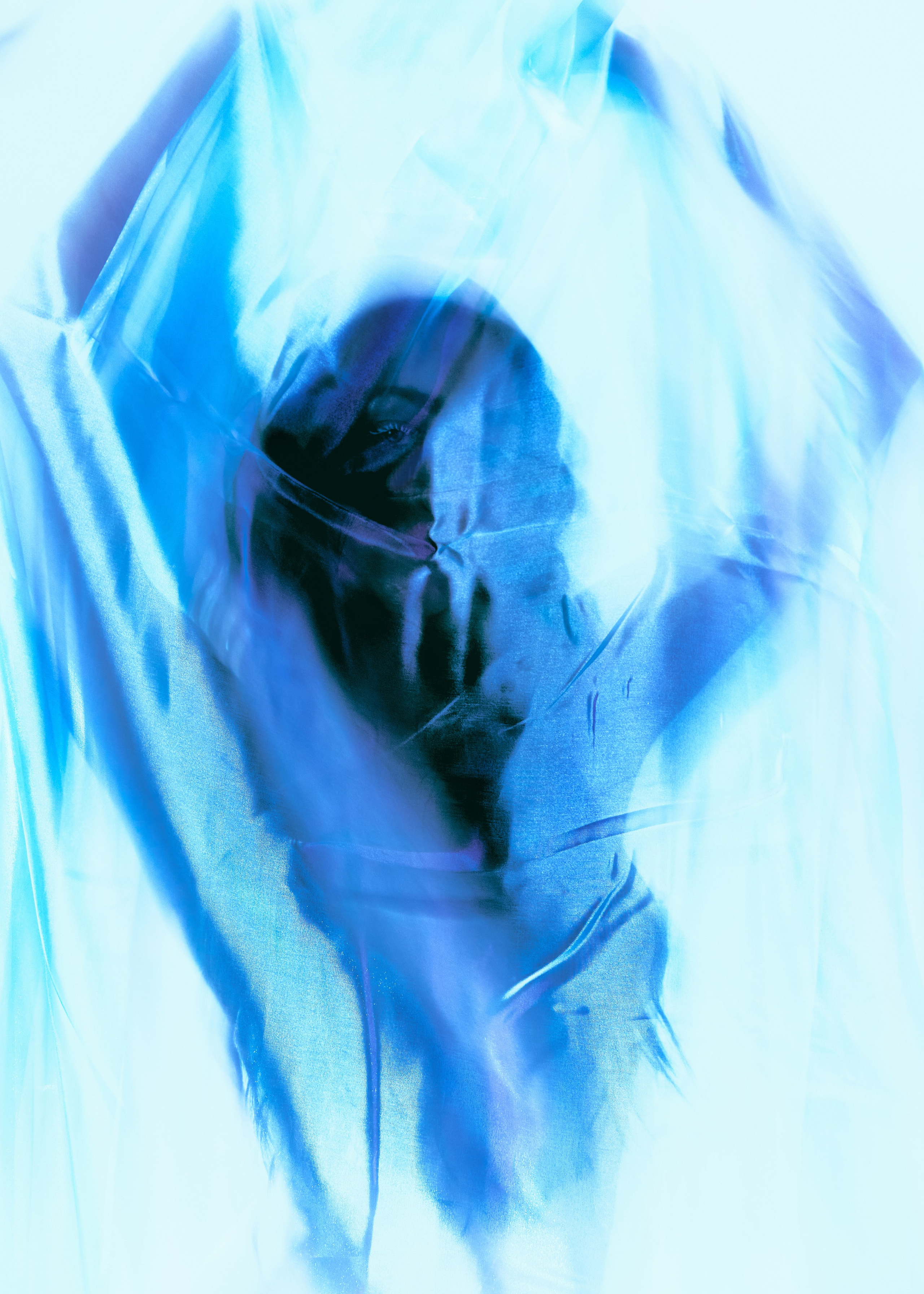 Интерьерные картины. Ангелина Журавлева Фотограф в Москве