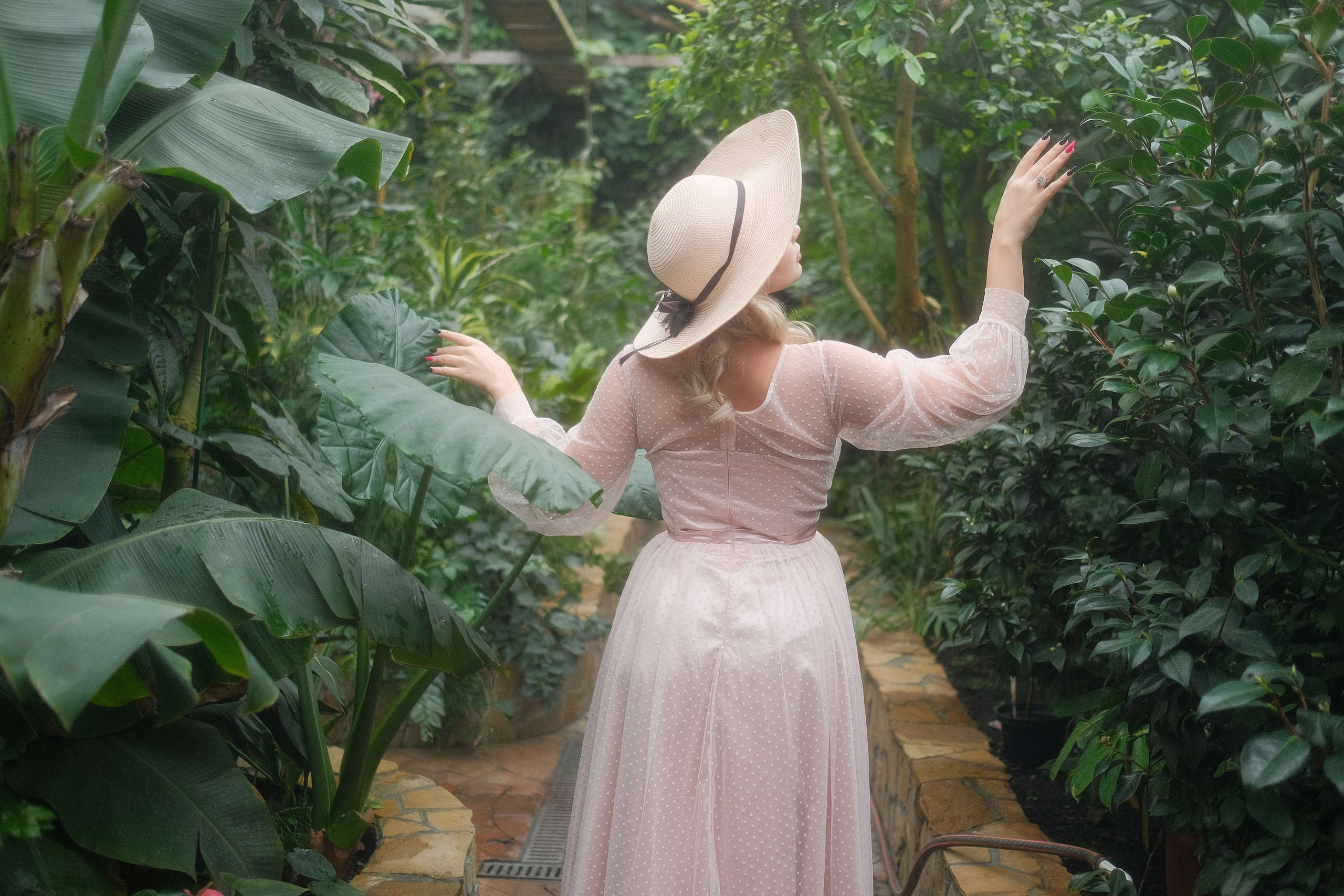 Greenhouse. Aleksandr Schafft