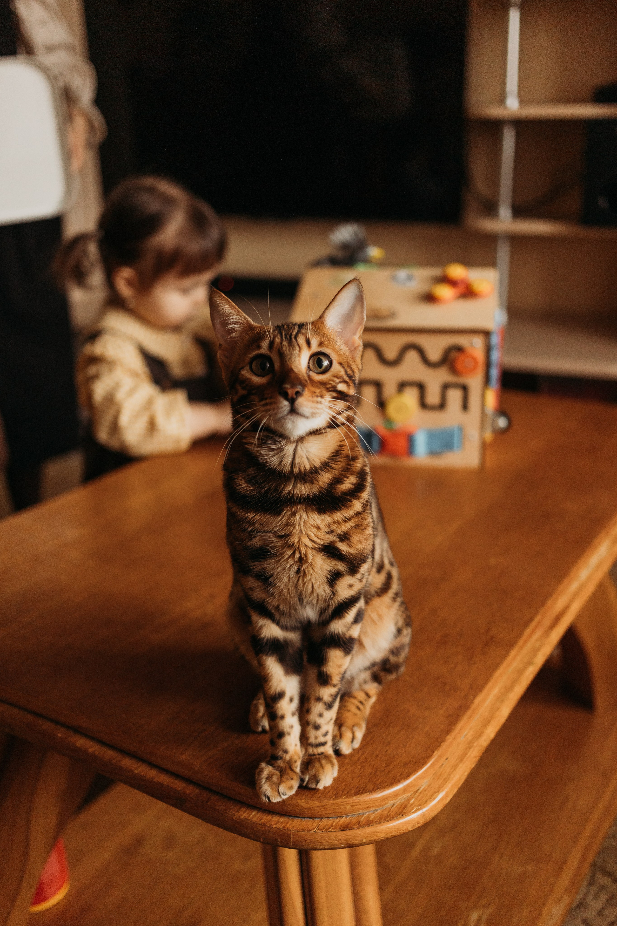 В ожидании Нового 2026. Фотограф Алена Свинаренко