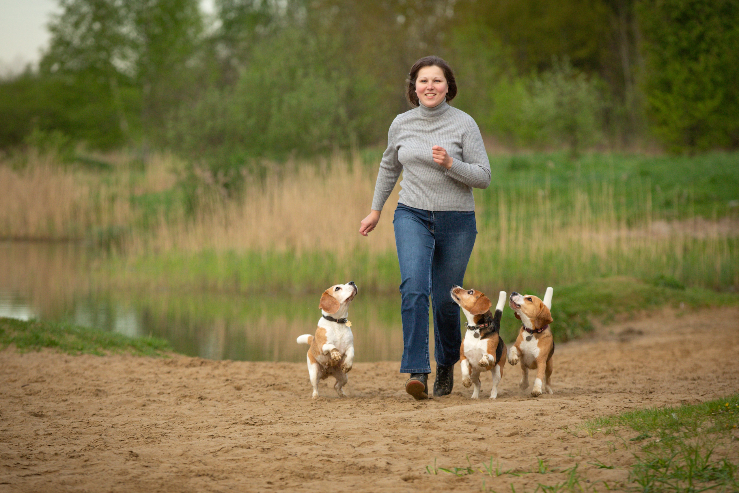 Бигли питомника КрисМэлл. Фотограф-анималист Natalia Deingel | Фотосъемка собак в Москве
