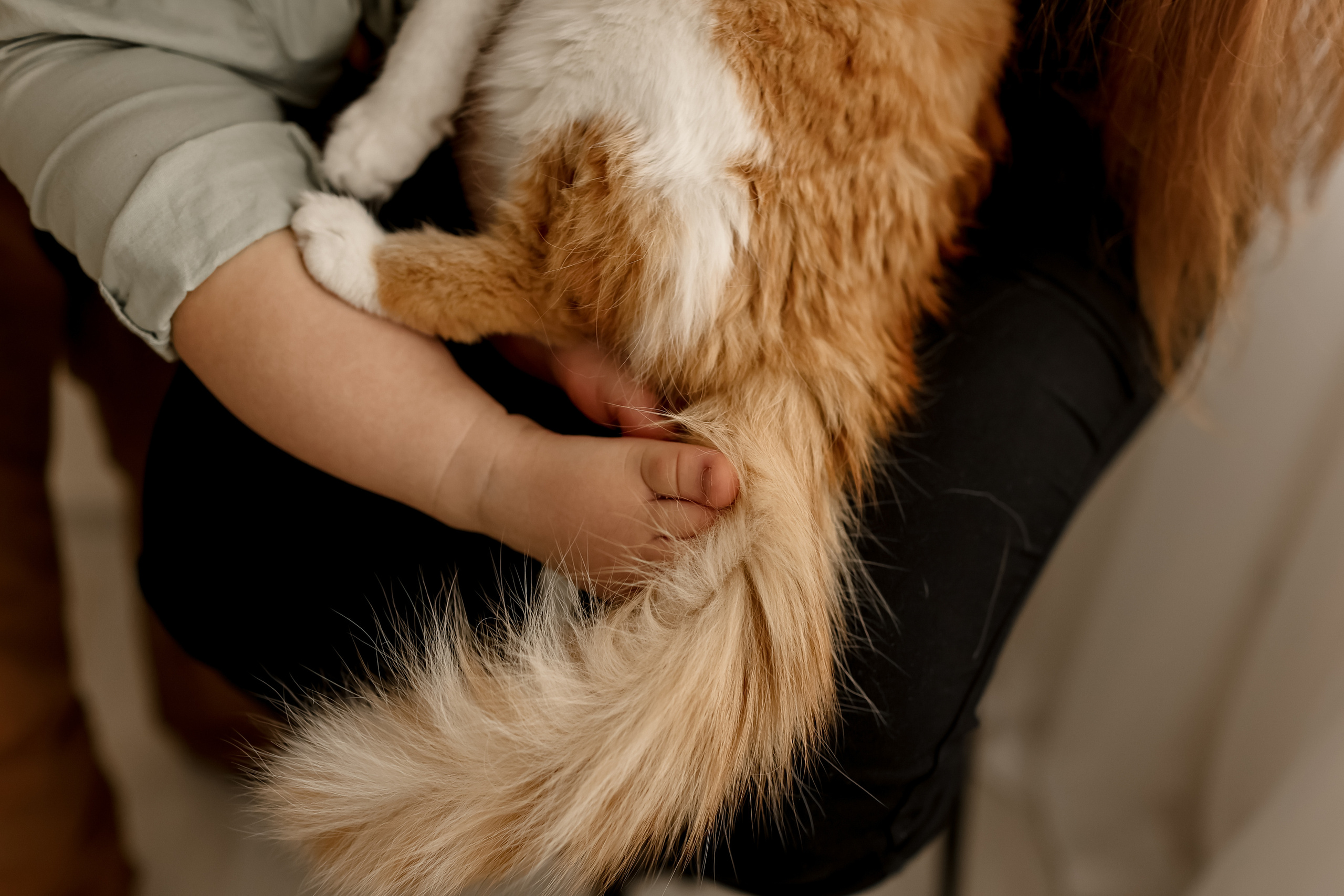 HOME. Свадебный фотограф Ольга Веремчук