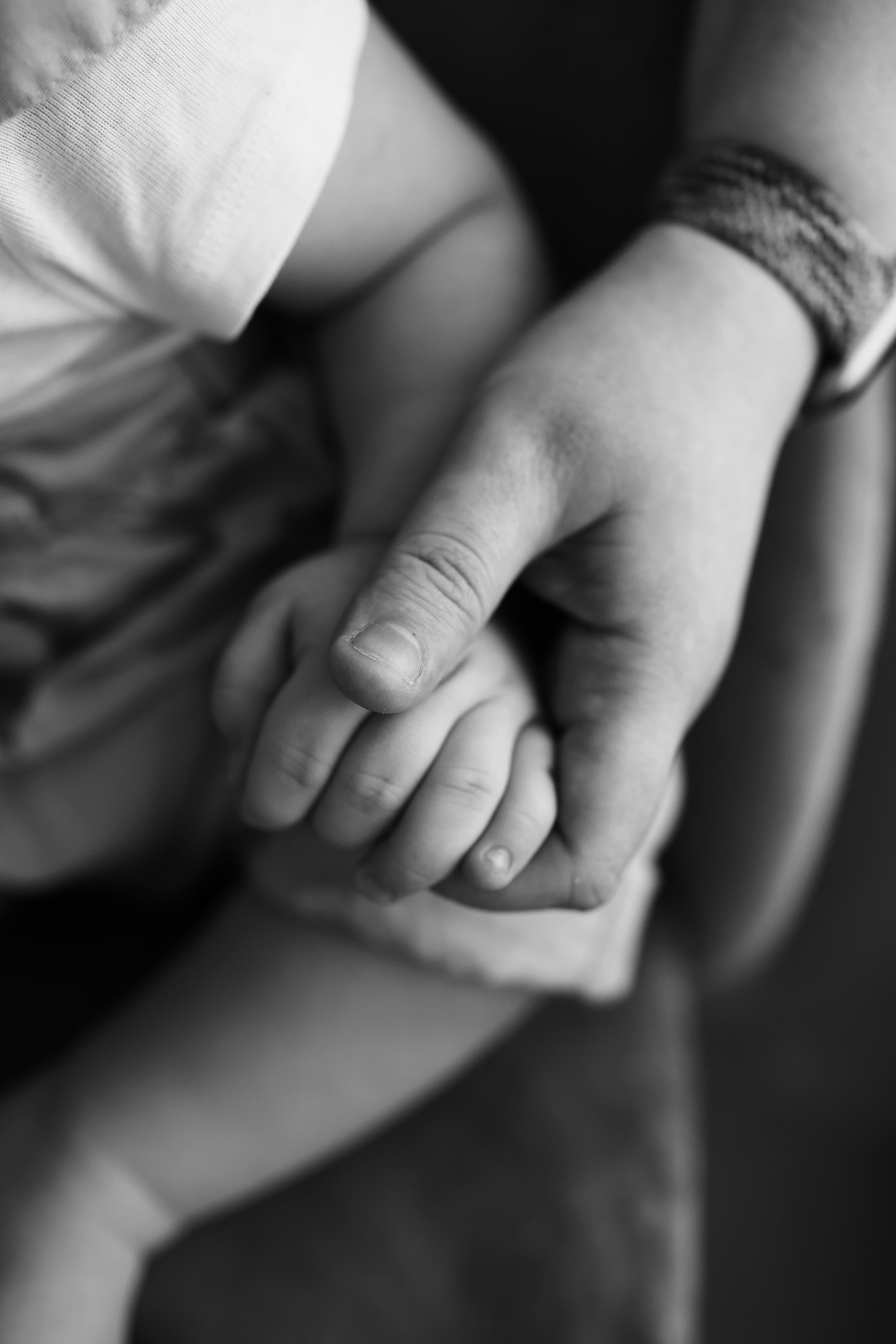 HOME. Свадебный фотограф Ольга Веремчук