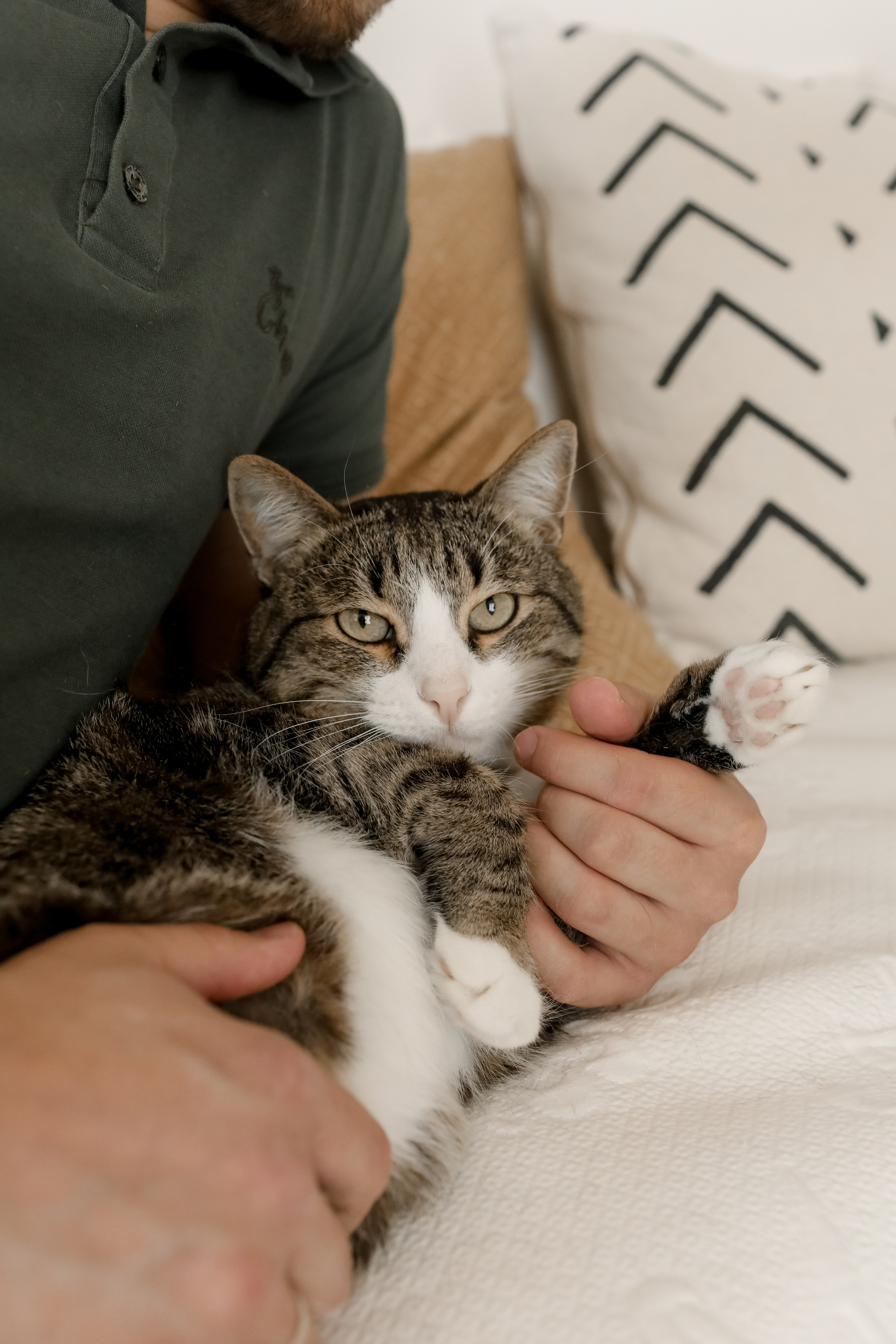 Антон, Настя и Денис. Свадебный фотограф Ольга Веремчук