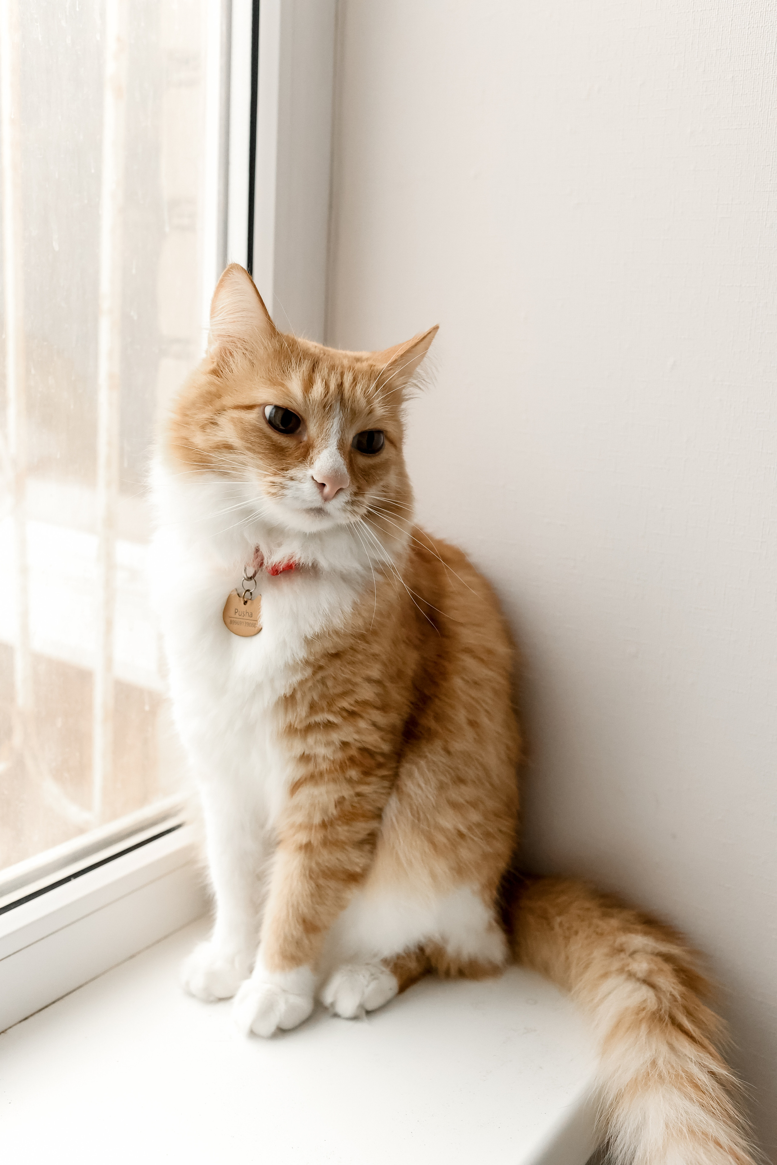 HOME. Свадебный фотограф Ольга Веремчук