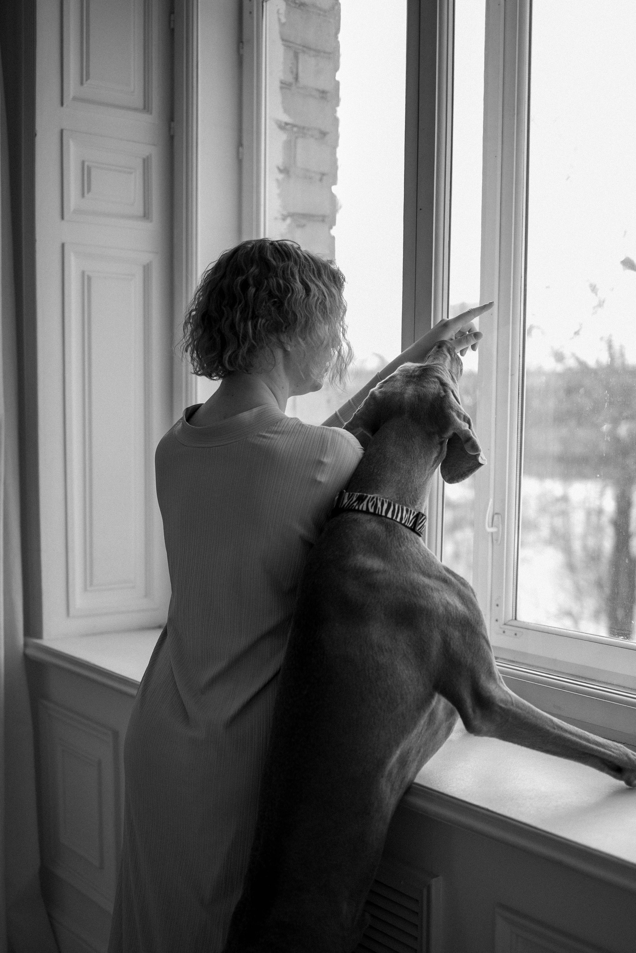 Фотосессия в студии с собакой. Фотограф-анималист в Екатеринбурге | Кристина