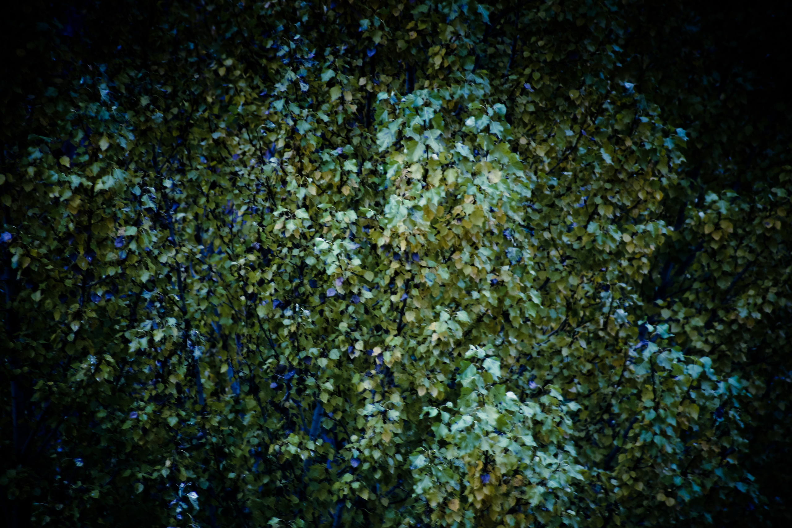 Виды Перми и окрестностей. Фотограф Никита Попов. Фотограф Пермь. Фотосессия в фотостудии Перми и на свежем воздухе