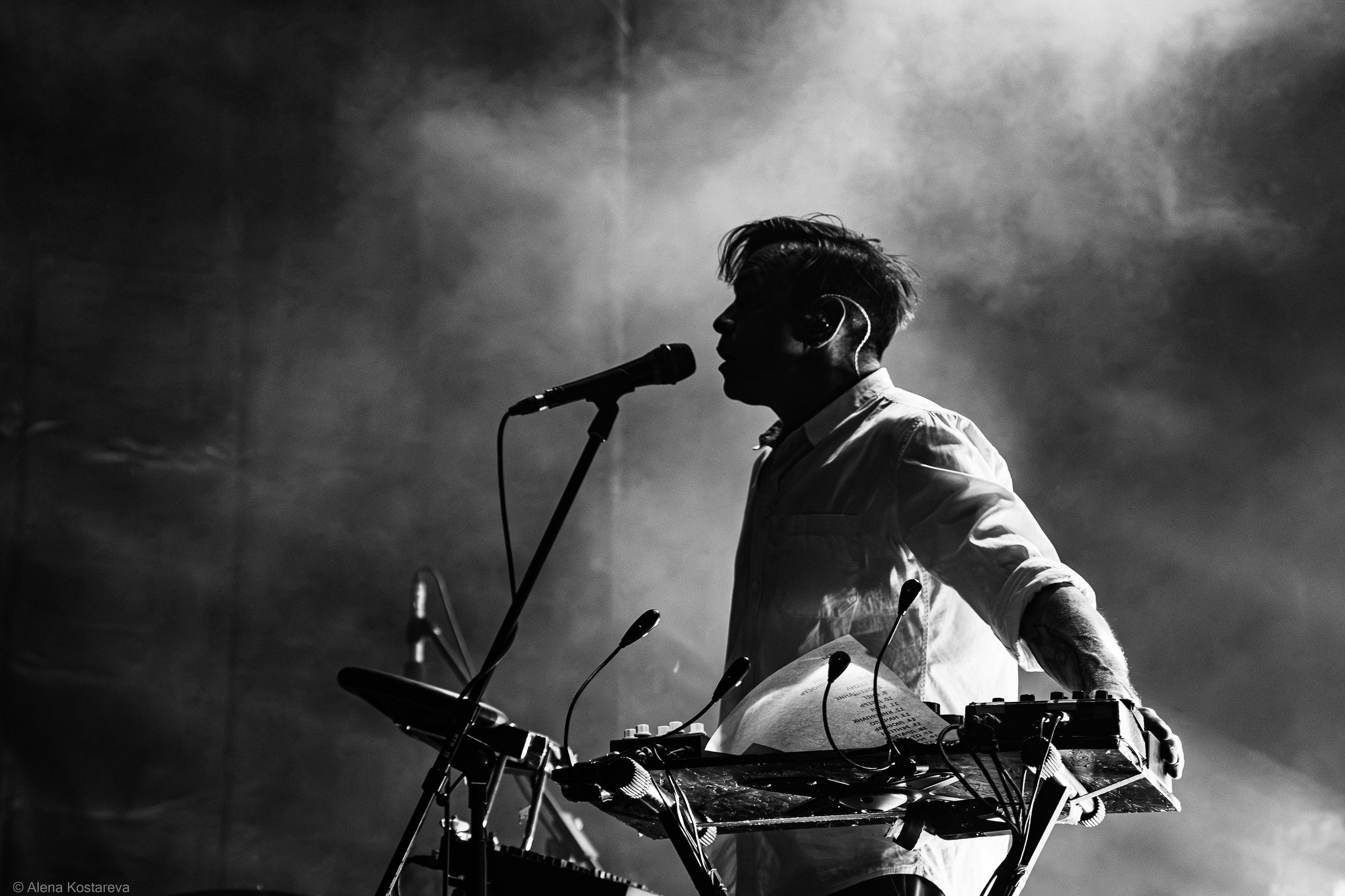 Dolphin. Алена Костарева. Фотограф в Ростове-на-Дону