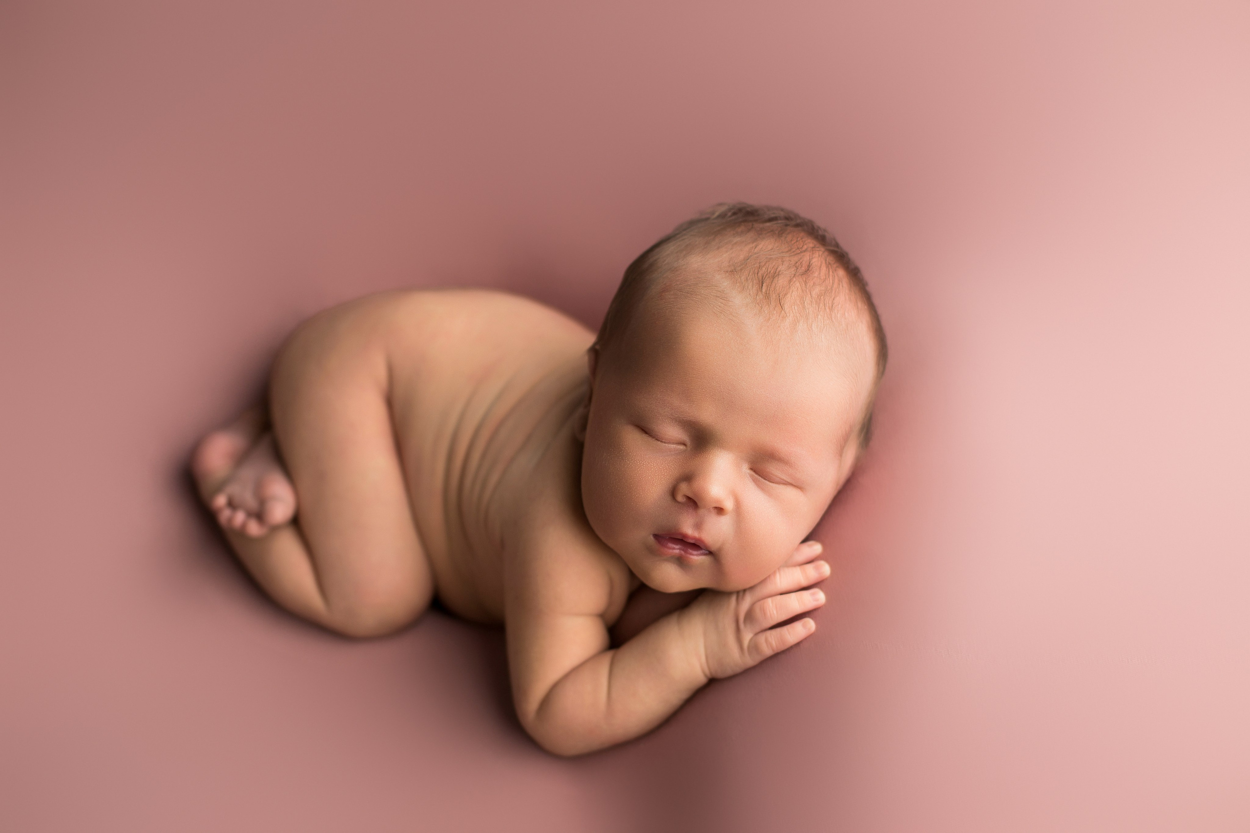 Роза. Ольга Анохина фотограф новорождённых в Зеленодольске