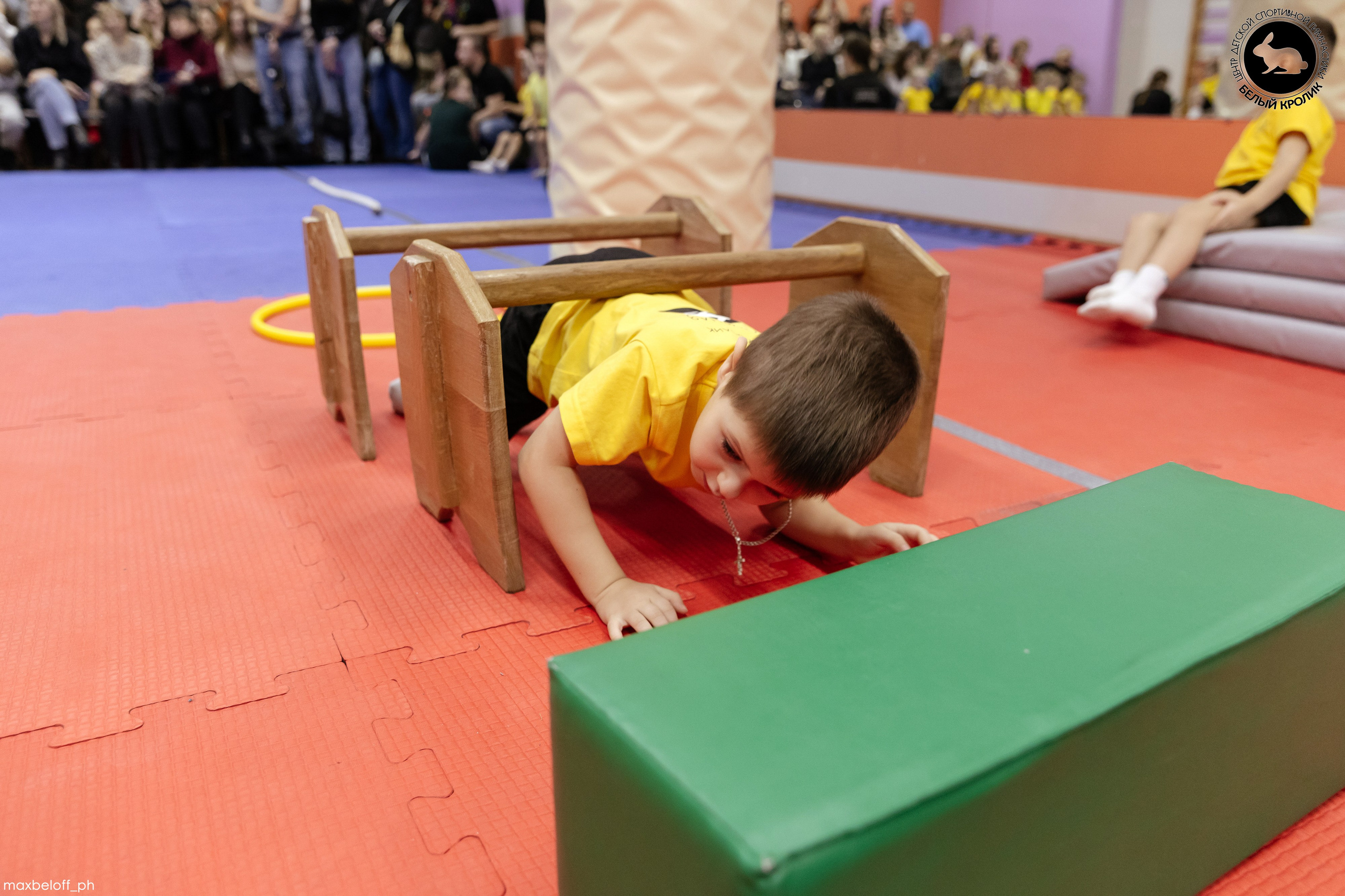 Белый кролик. Соревнования. Семейный фотограф — Макс Белогрудов