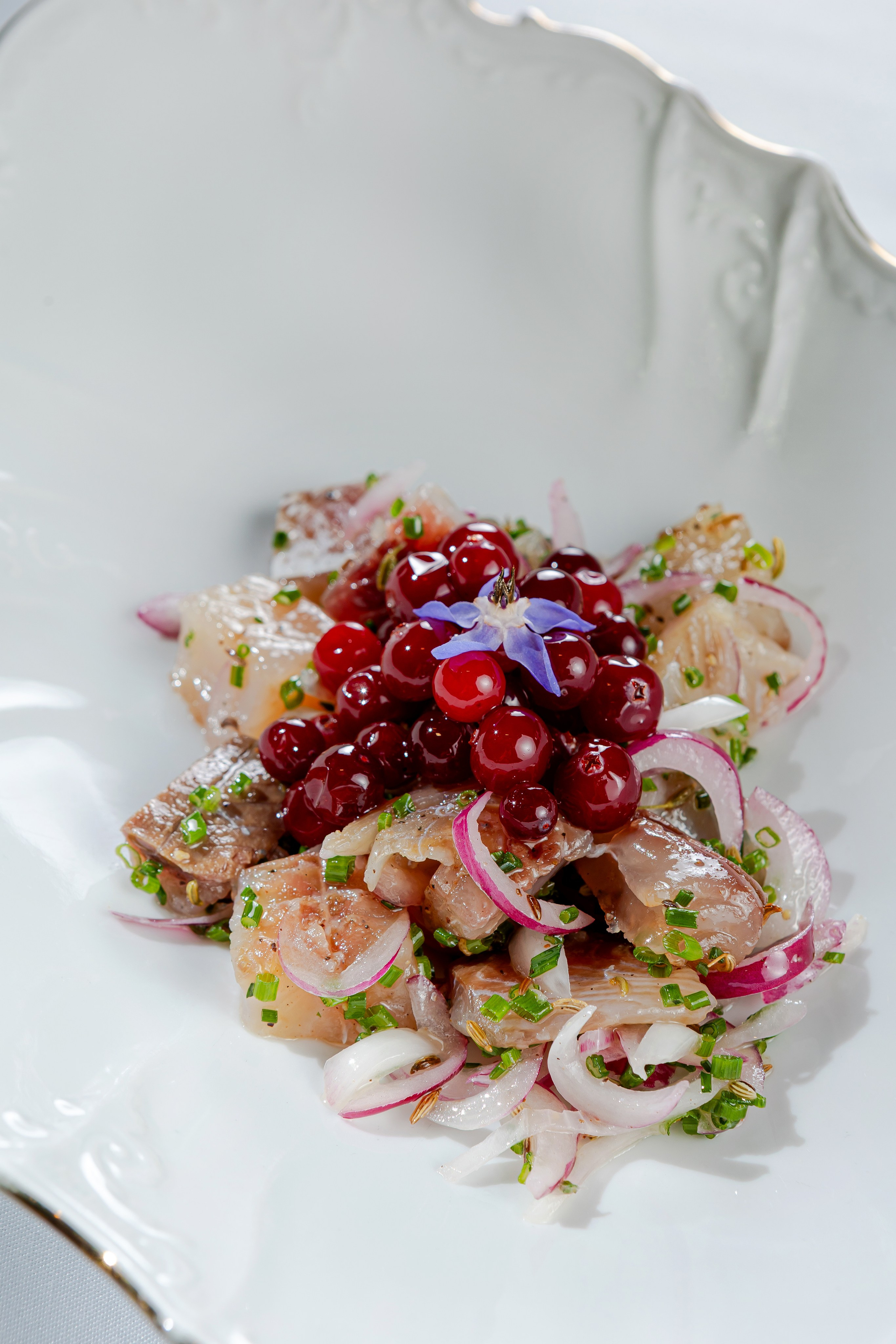 GUSSI. Фотограф Агеева Мария