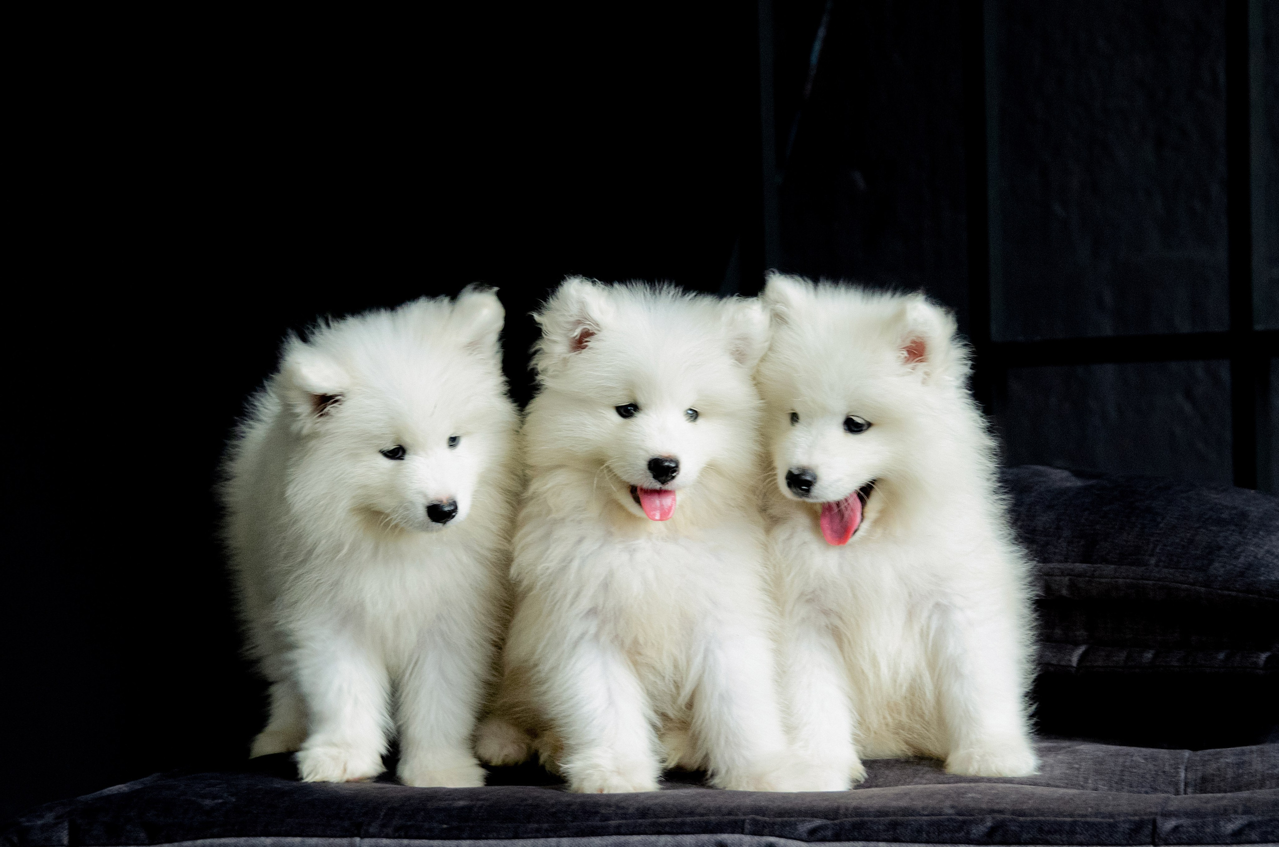 Творческие фотосессии. Фотограф в Хабаровске