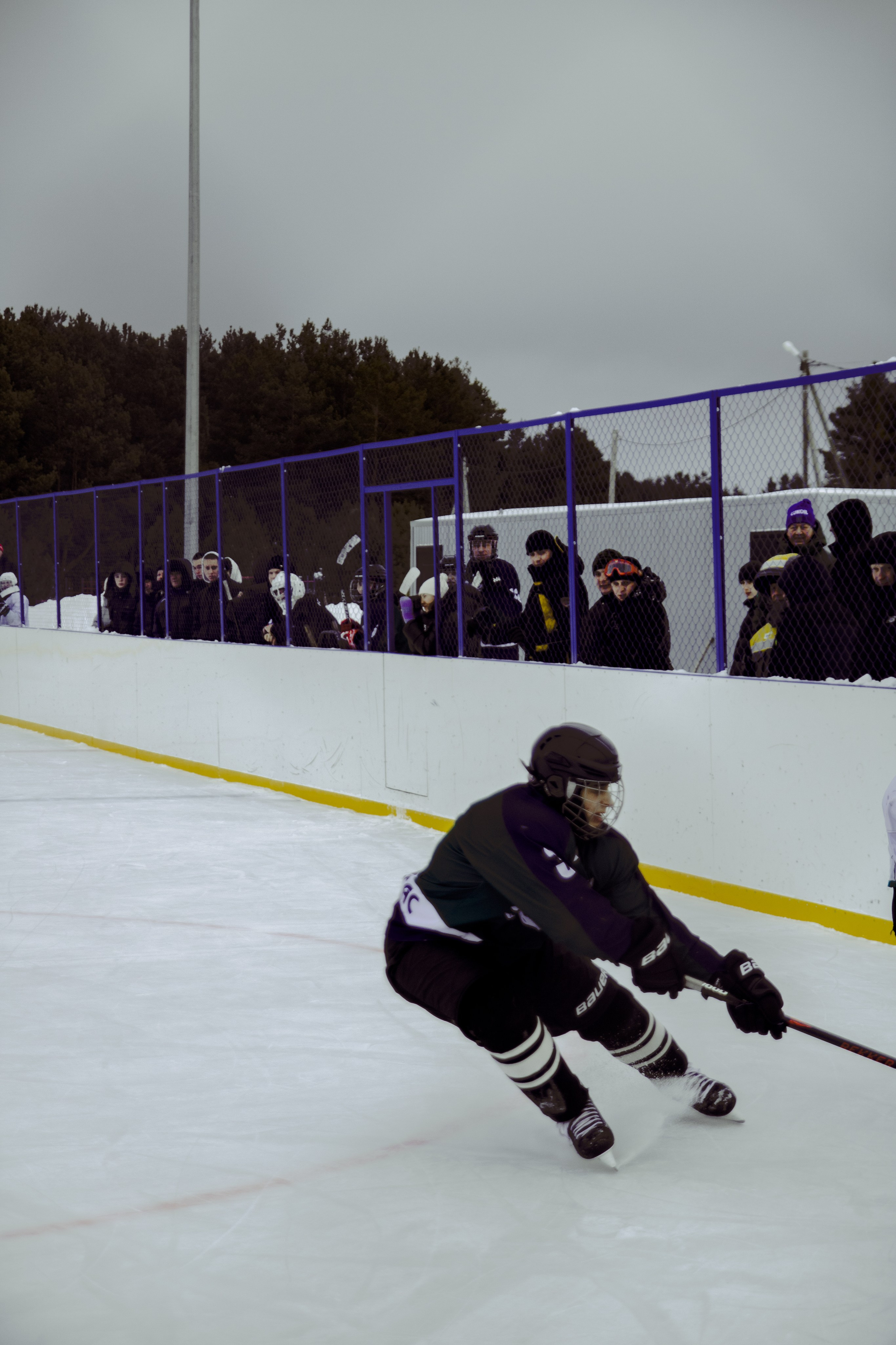 Хоккей 29.12.2024